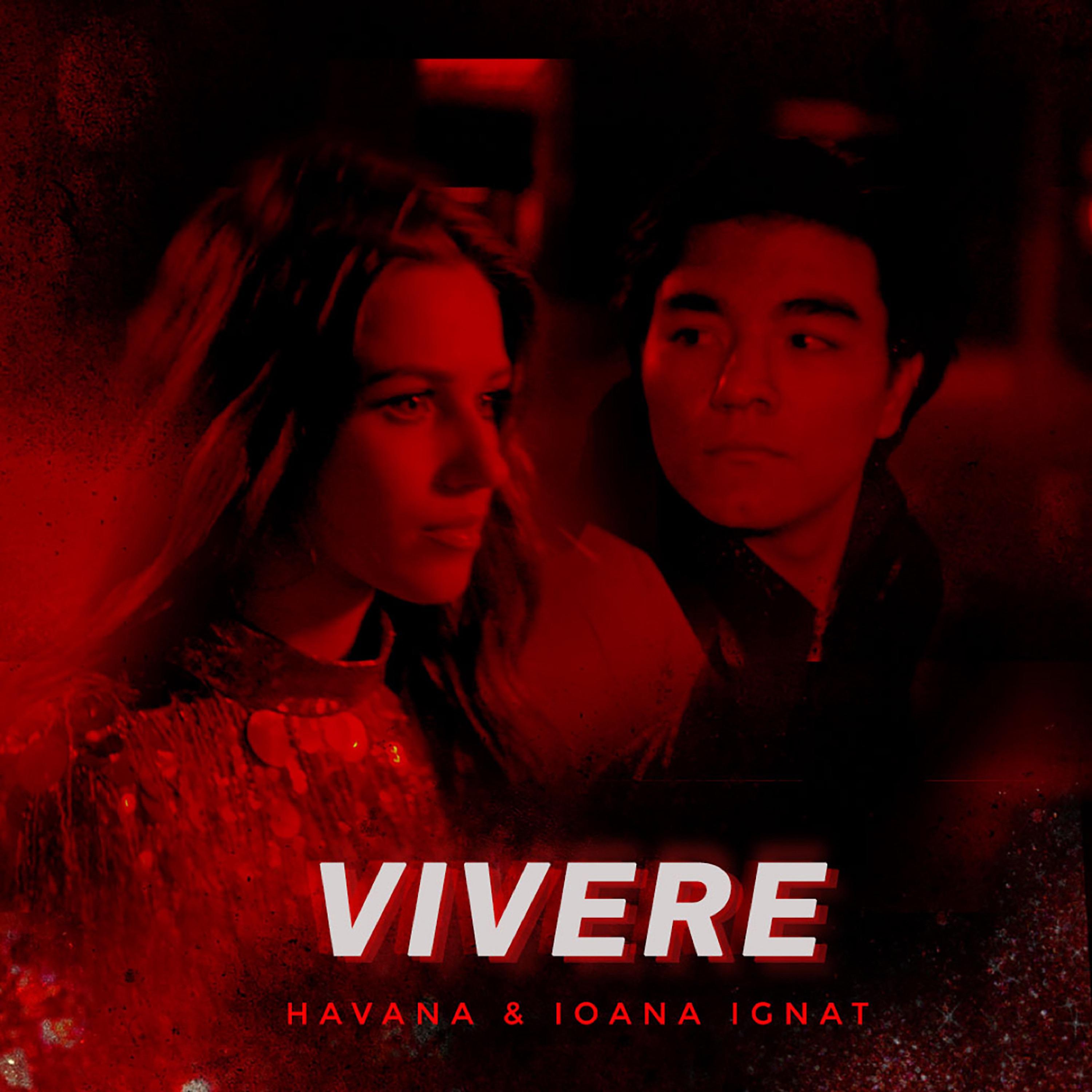 Постер альбома Vivere (Festum Music Remix)