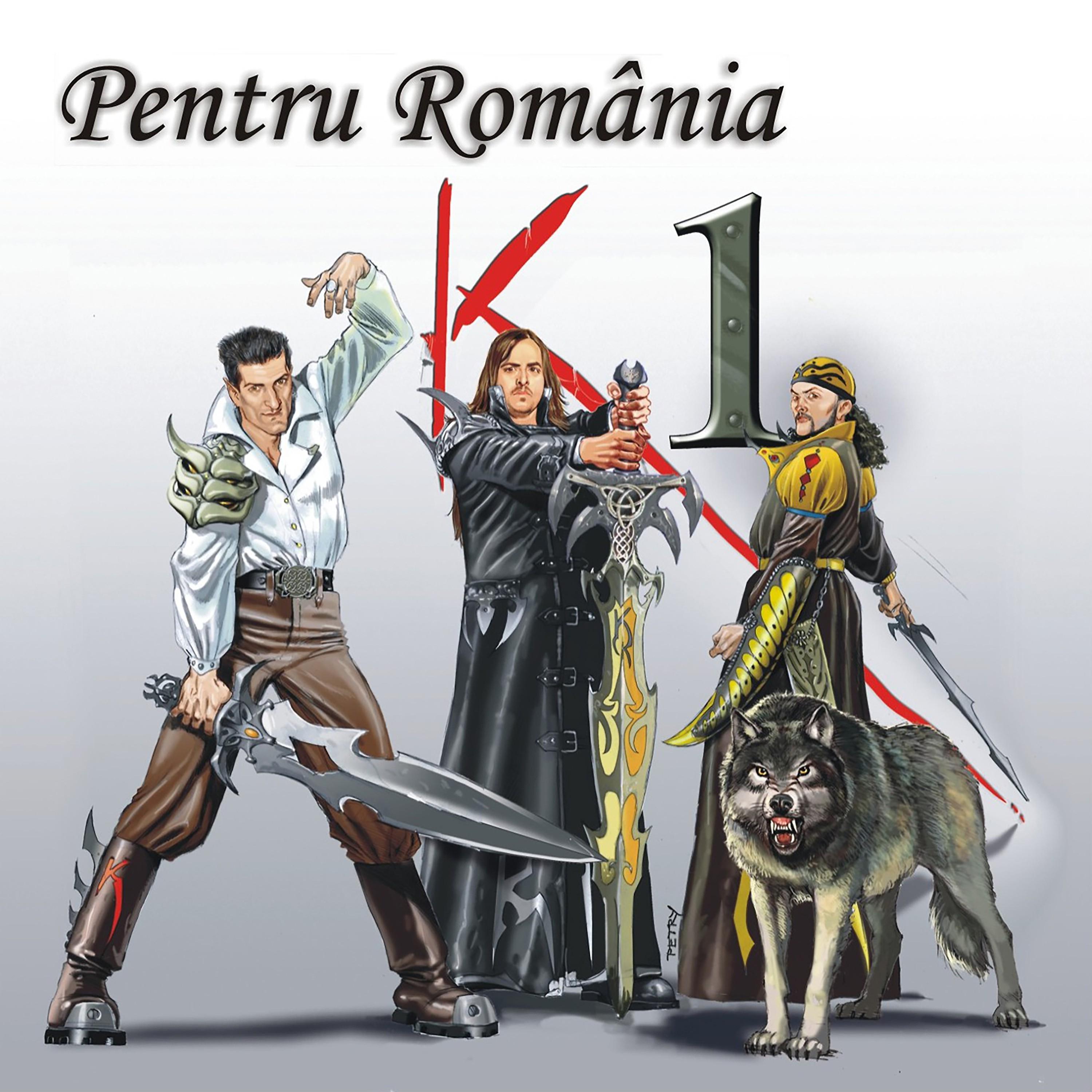 Постер альбома Pentru Romania