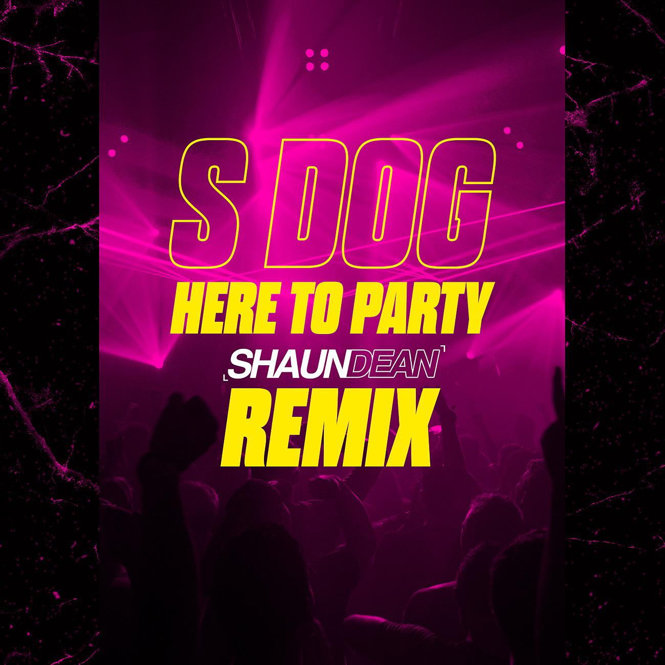 Постер альбома Here To Party (Shaun Dean Remix)