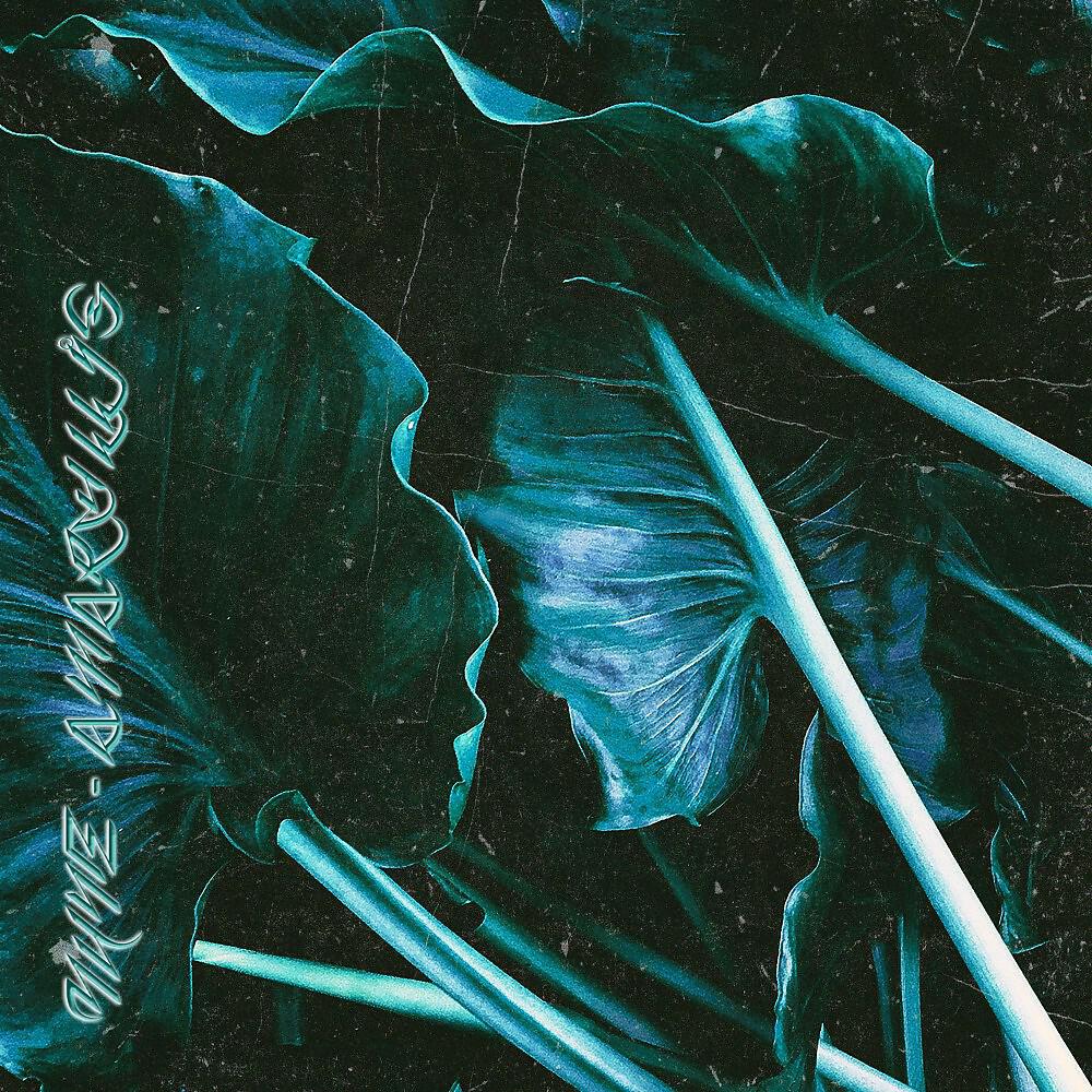 Hune - Aloès