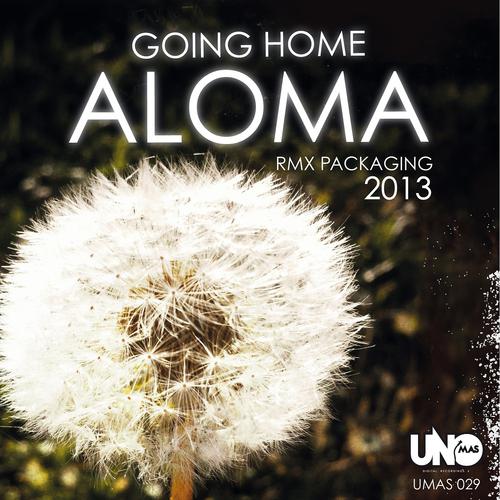 Постер альбома Going Home (Remix 2013)