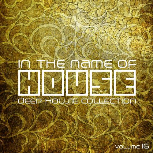 Постер альбома In The Name Of House, Vol. 16