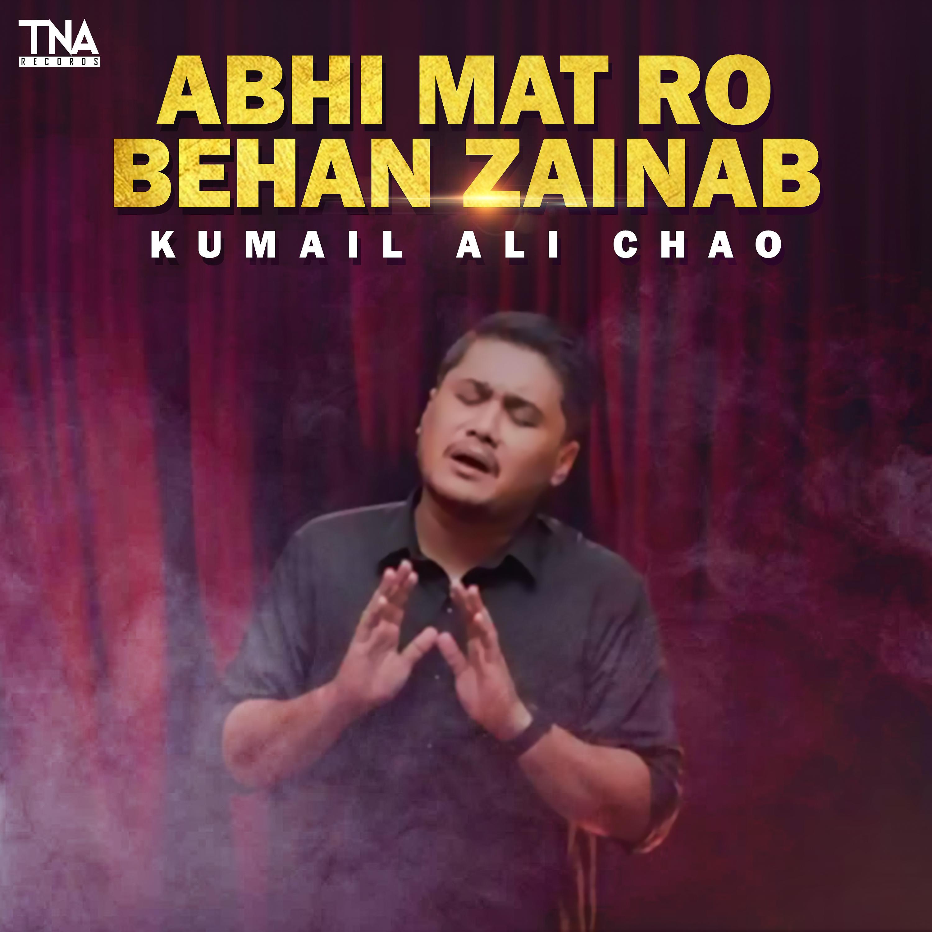 Постер альбома Abhi Mat Ro Behan Zainab - Single