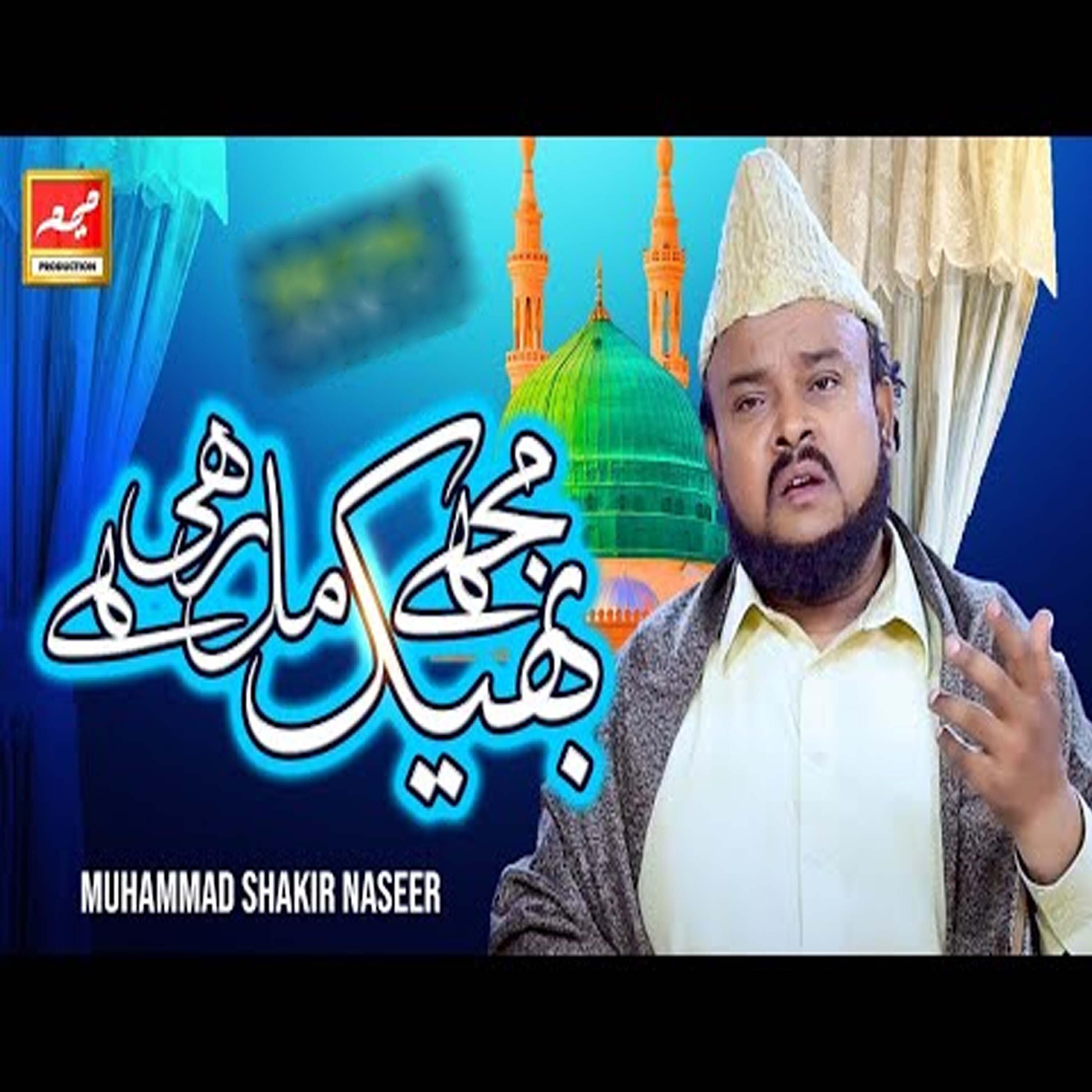 Shakir Naseer - Mujhe Bheek Mil Rahi Hai