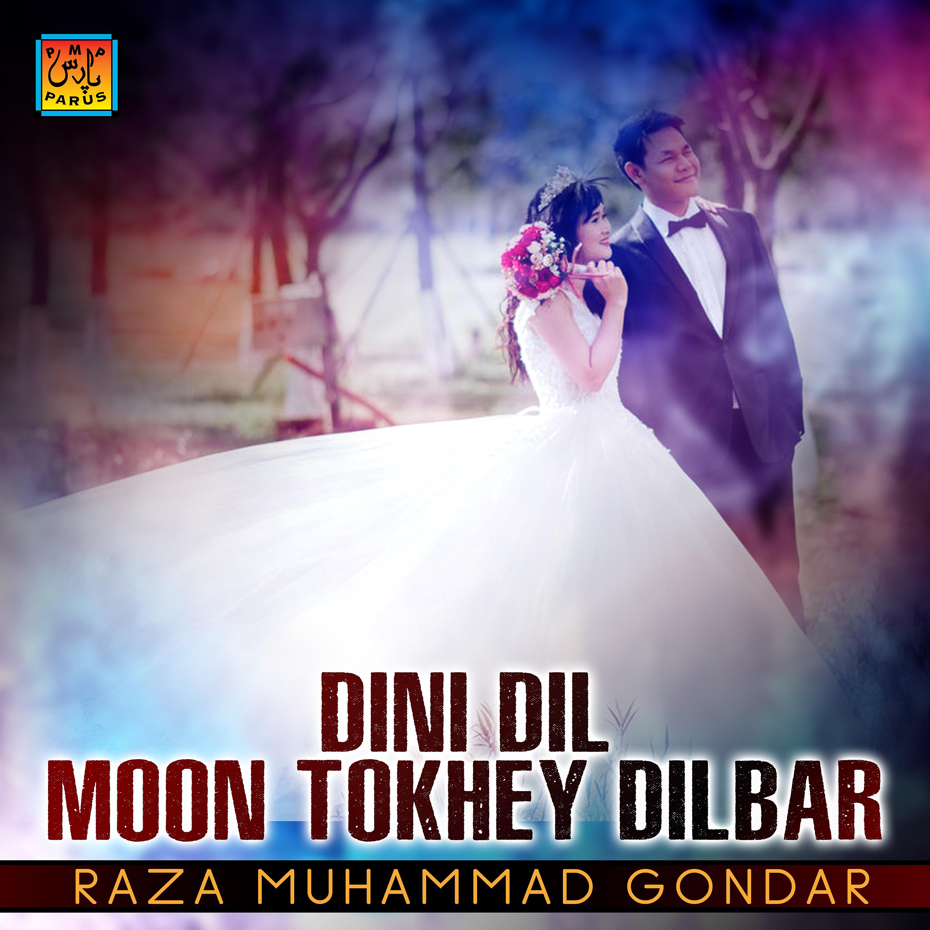 Постер альбома Dini Dil Moon Tokhey Dilbar