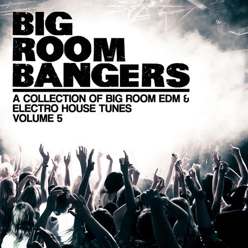 Постер альбома Bigroom Bangers, Vol. 5