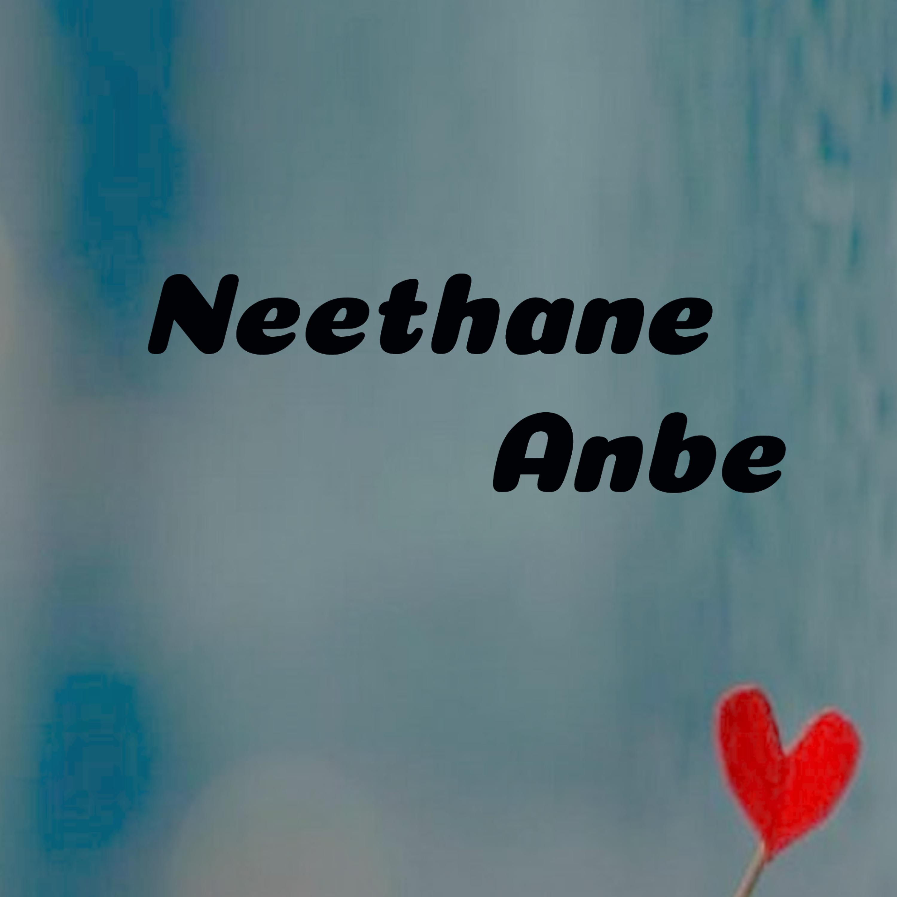 Постер альбома Neethane Anbe