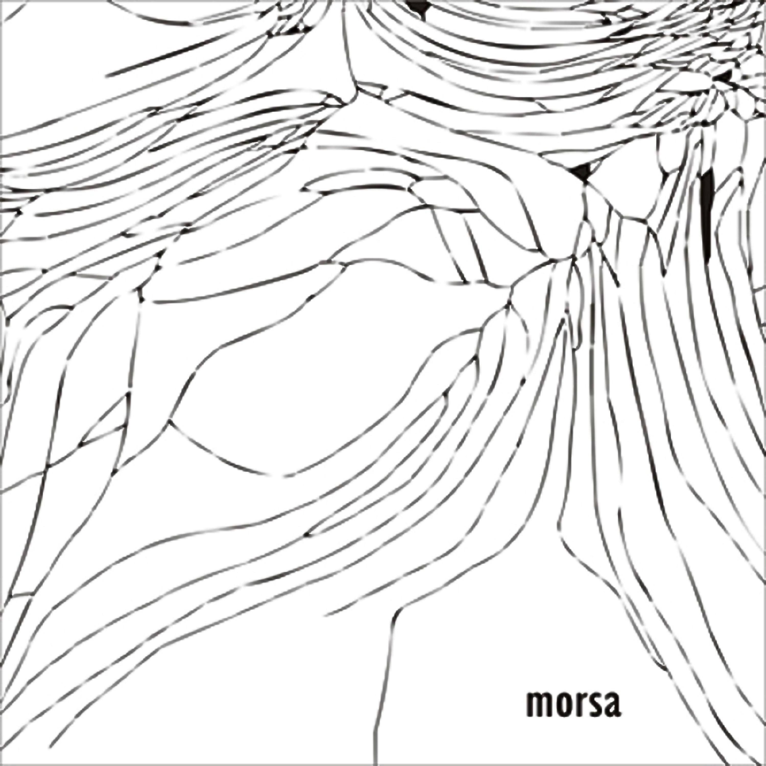 Постер альбома Morsa
