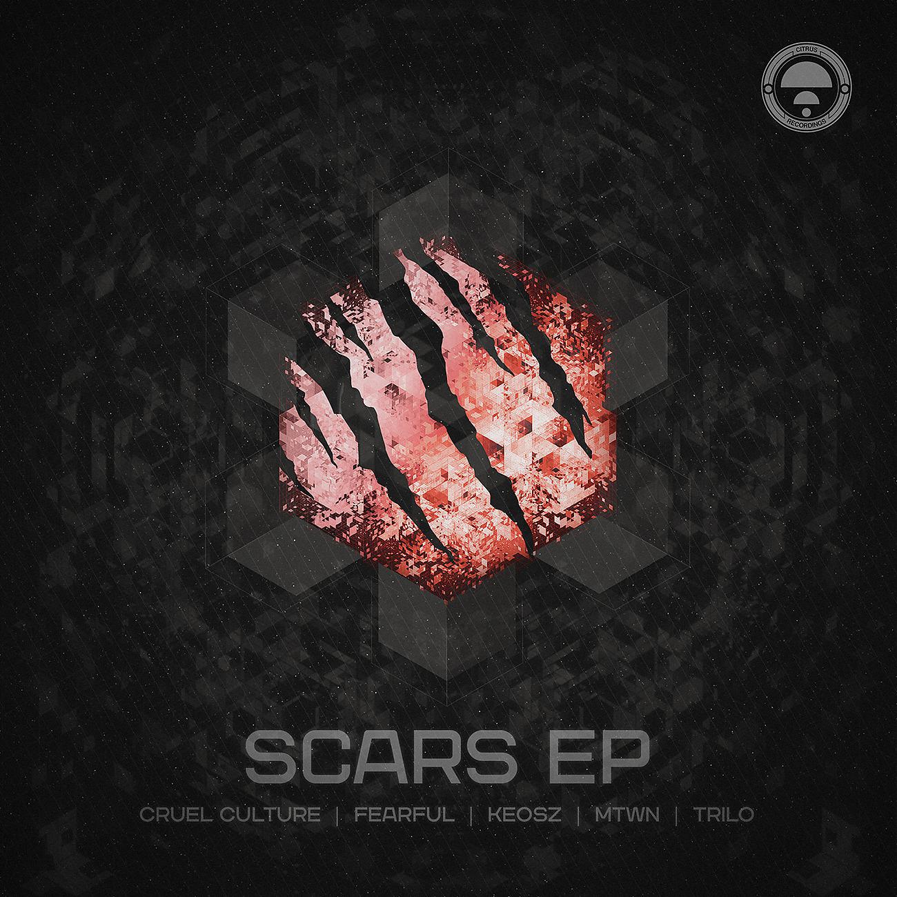 Постер альбома Scars EP