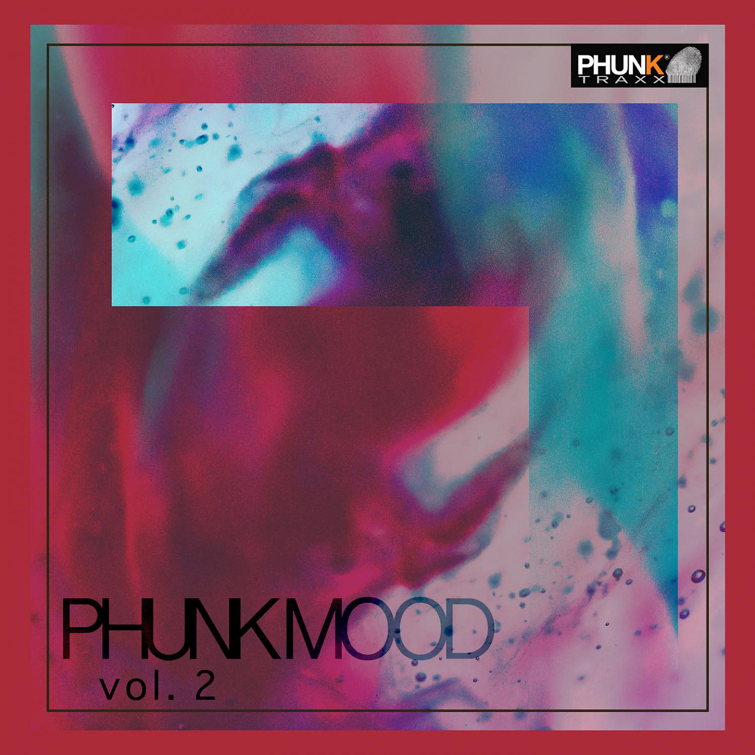 Постер альбома PHUNKMOOD, Vol. 2
