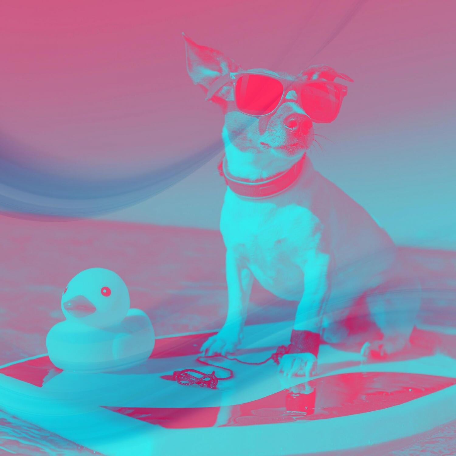 Relaxing Dog Music Project - Magical Ambience for Relaxing Your Dog