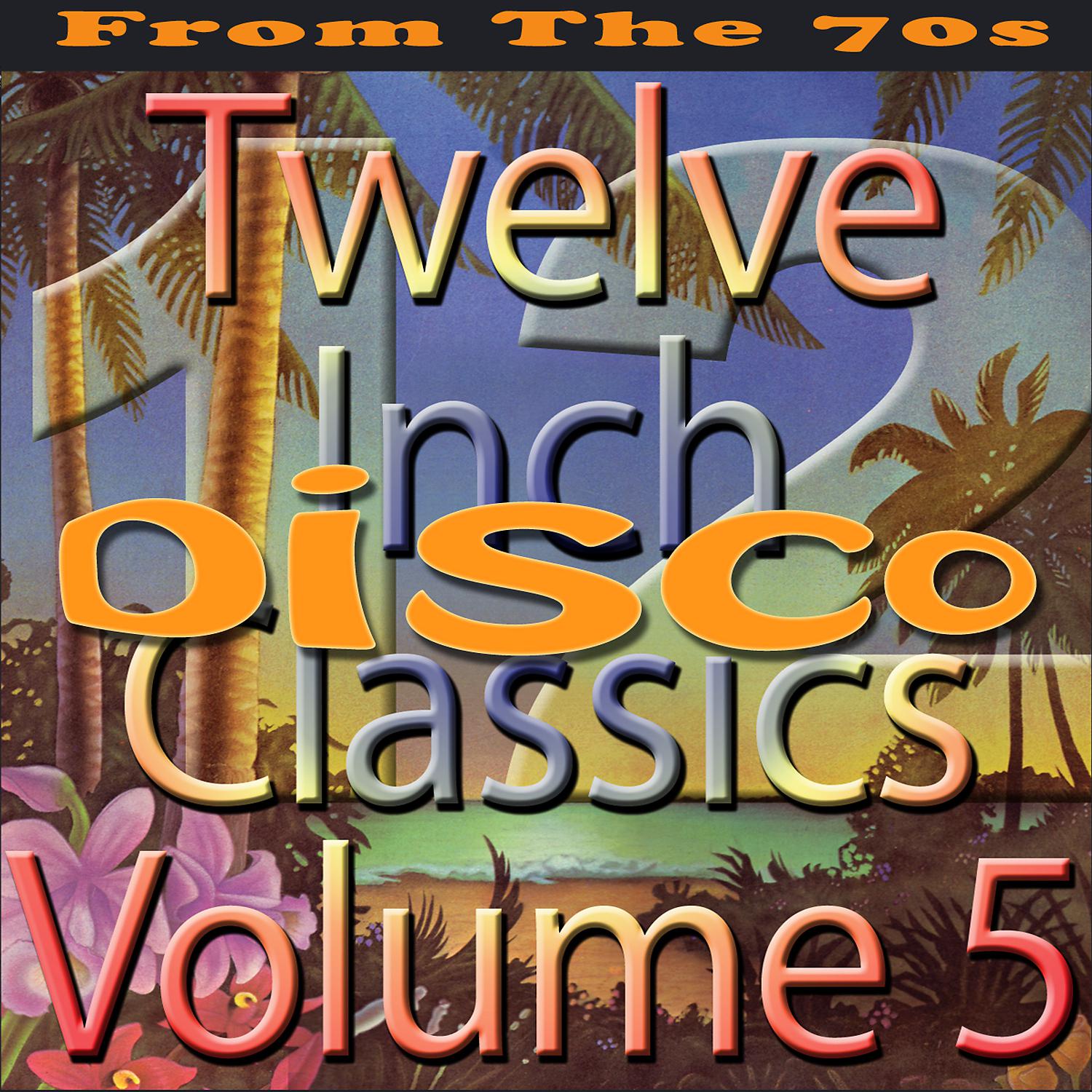 Постер альбома Twelve Inch Disco Classics from the 70s, Vol. 5