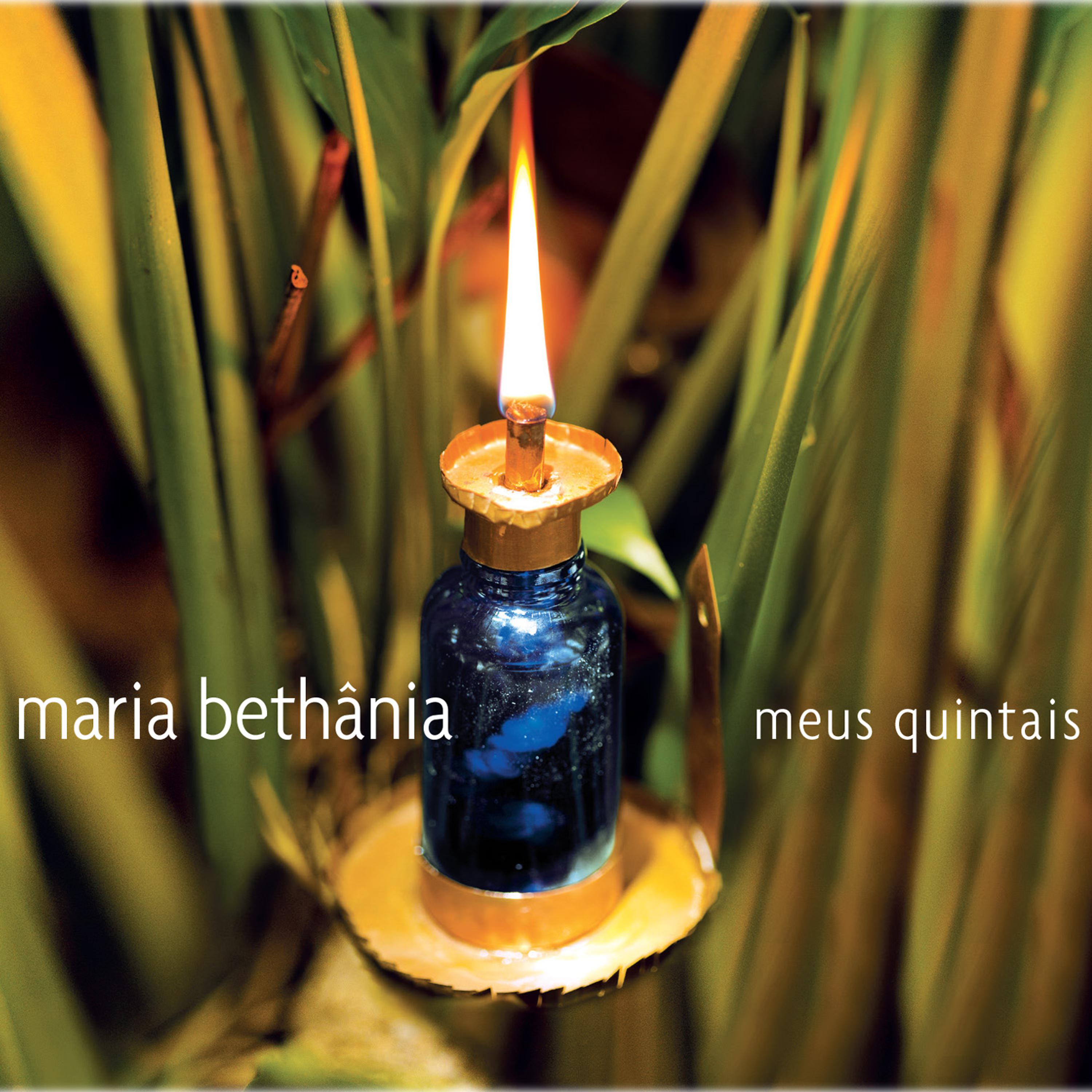 Постер альбома Meus Quintais