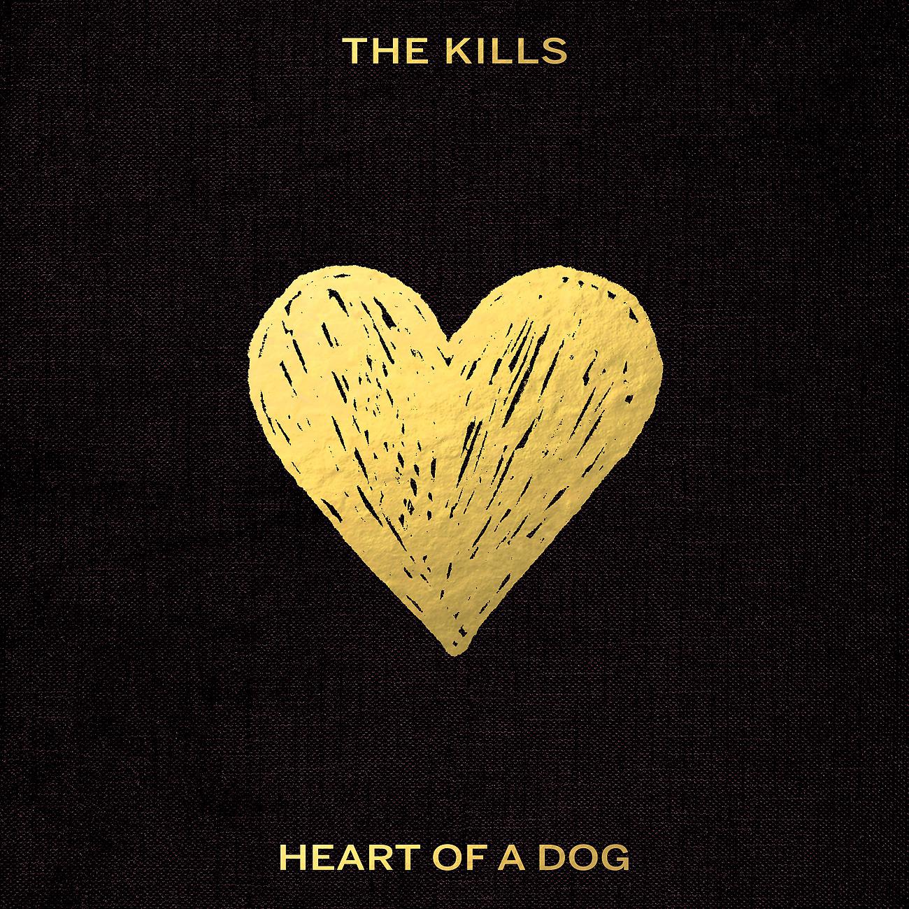 Постер альбома Heart of a Dog