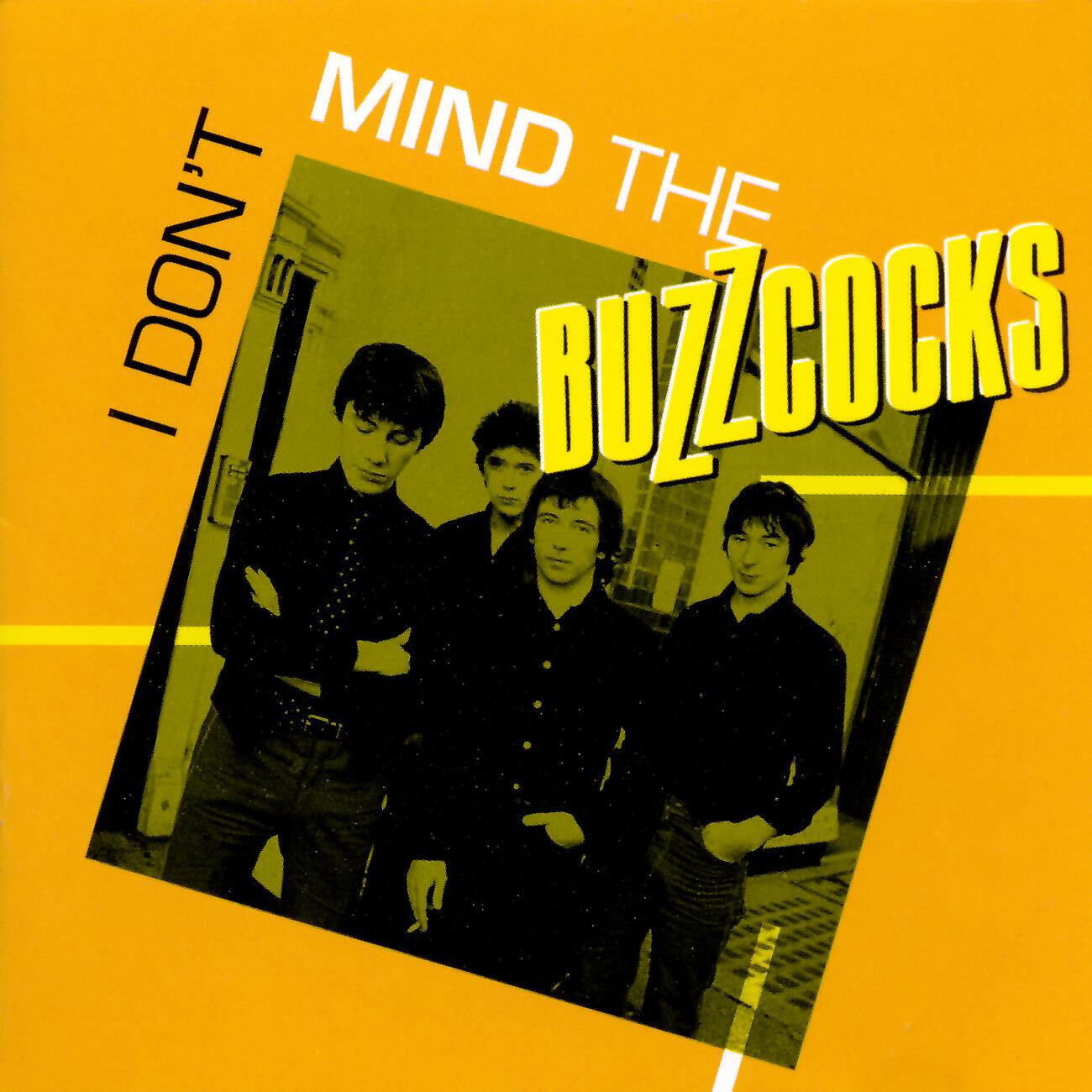 Buzzcocks - Late For The Train