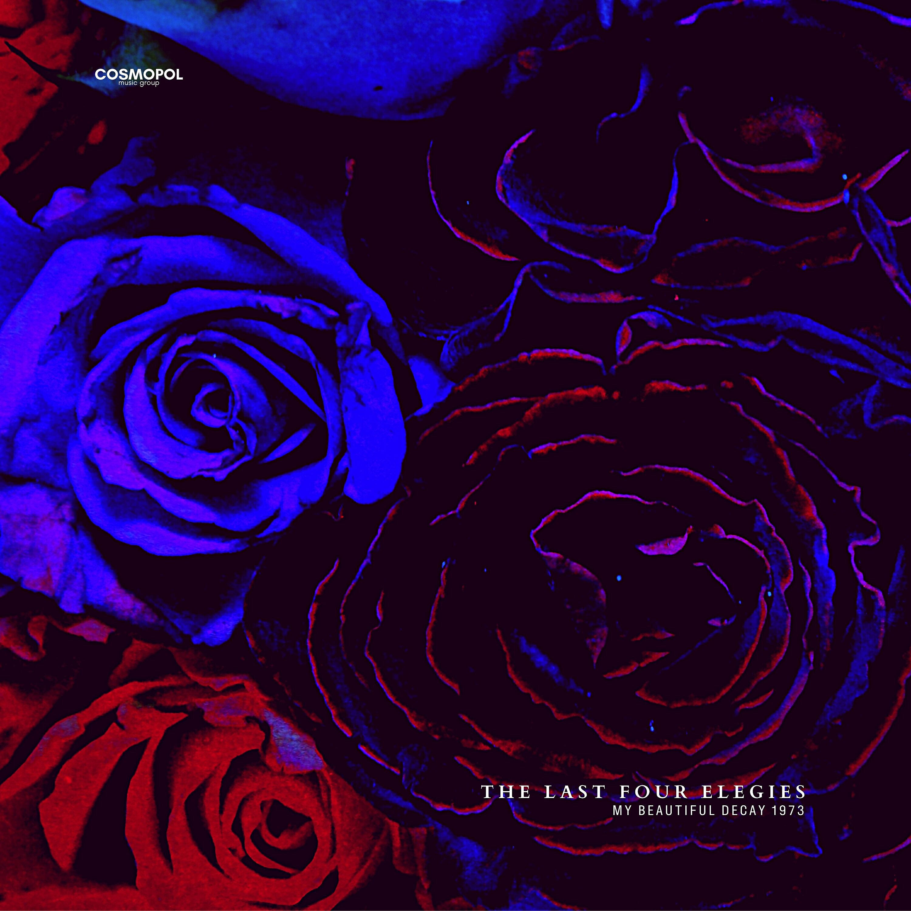 My Beautiful Decay 1973 - Drifting In Space With You