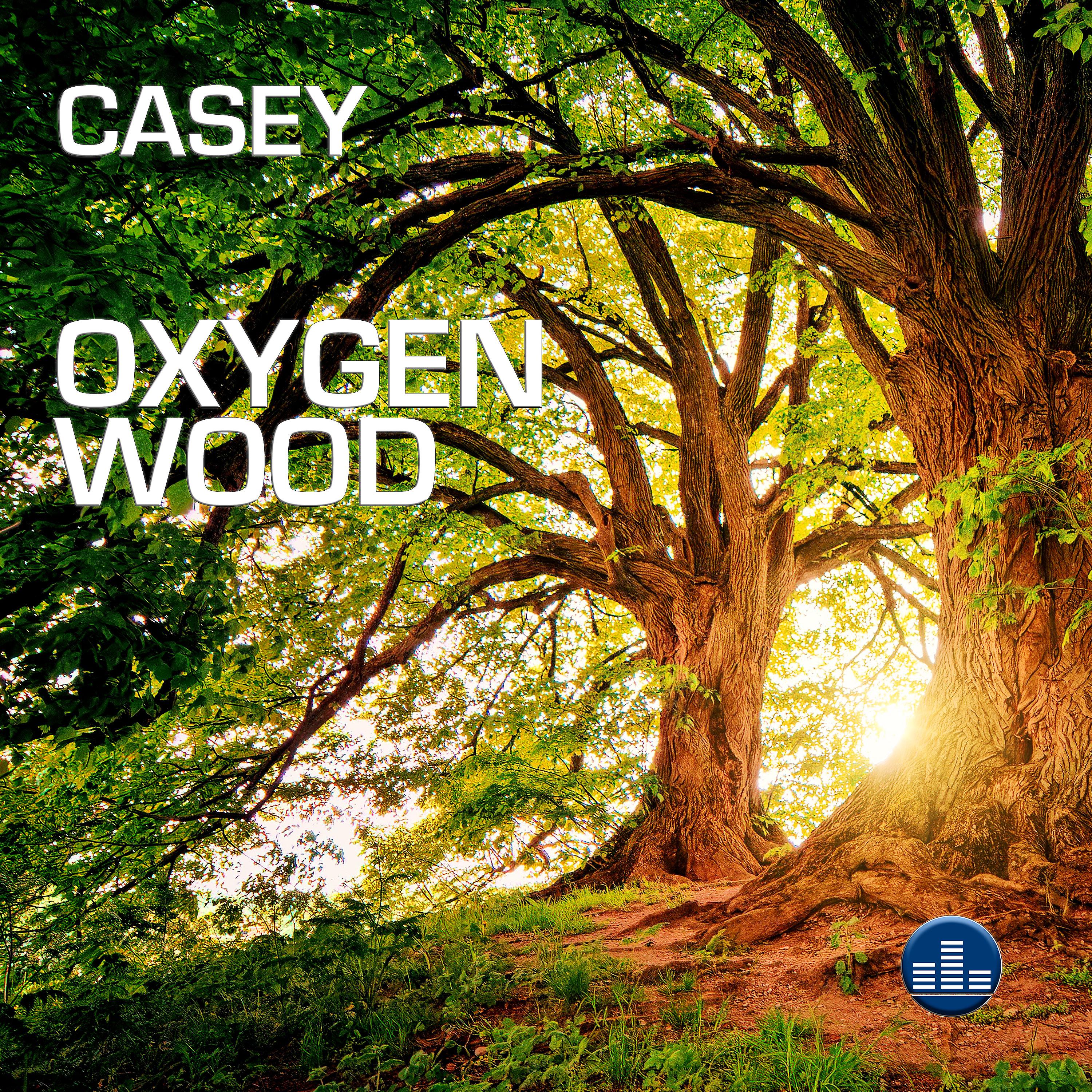 Постер альбома Oxygen Wood