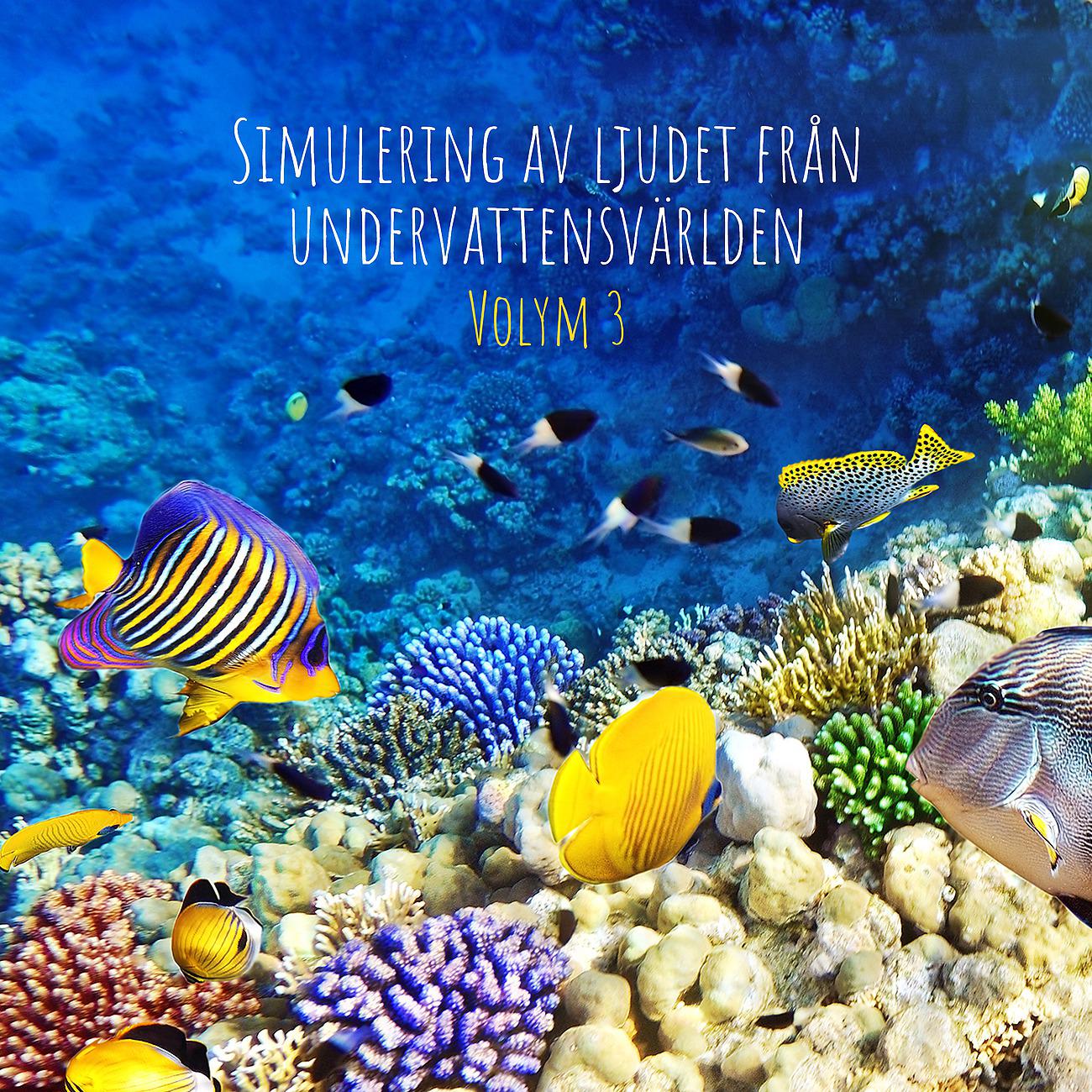 Постер альбома Simulering av ljudet från undervattensvärlden
