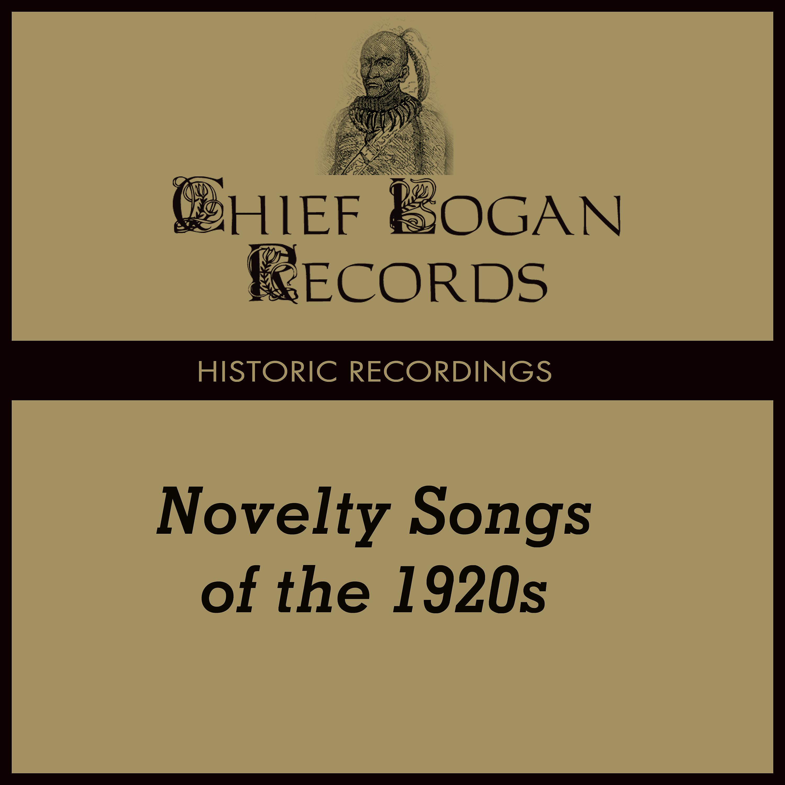 Постер альбома Historic Recordings - Novelty Songs of the 1920s