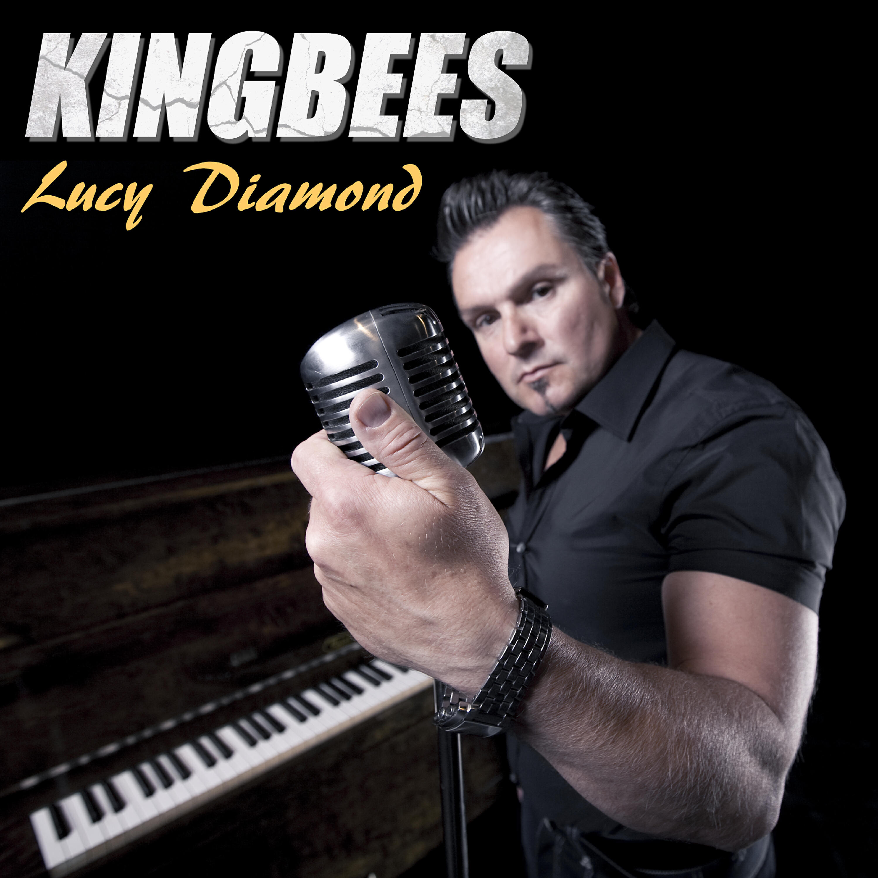 Lee Ericson - Lucy Diamond