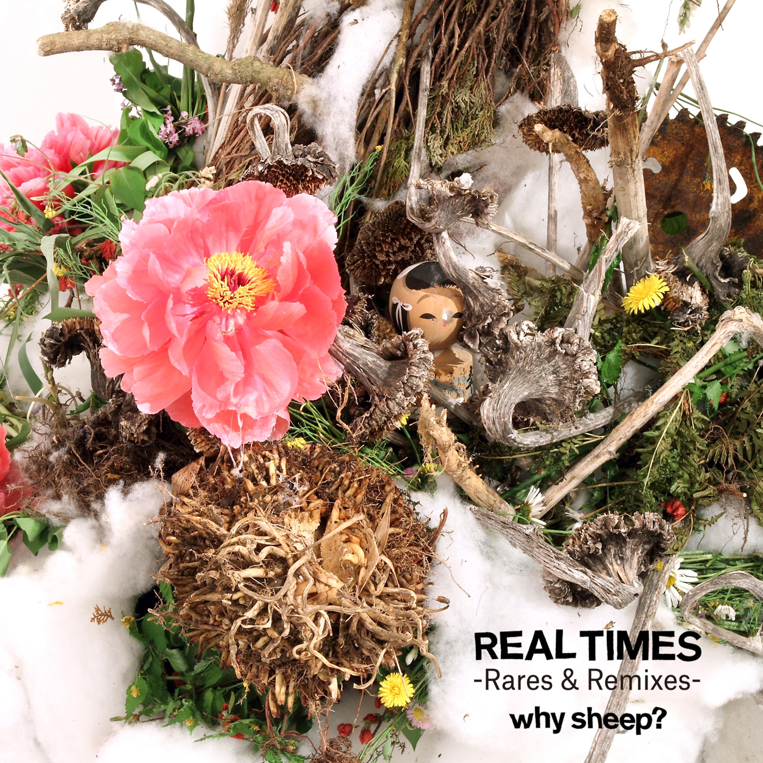 Постер альбома Real Times Rares&Remixes