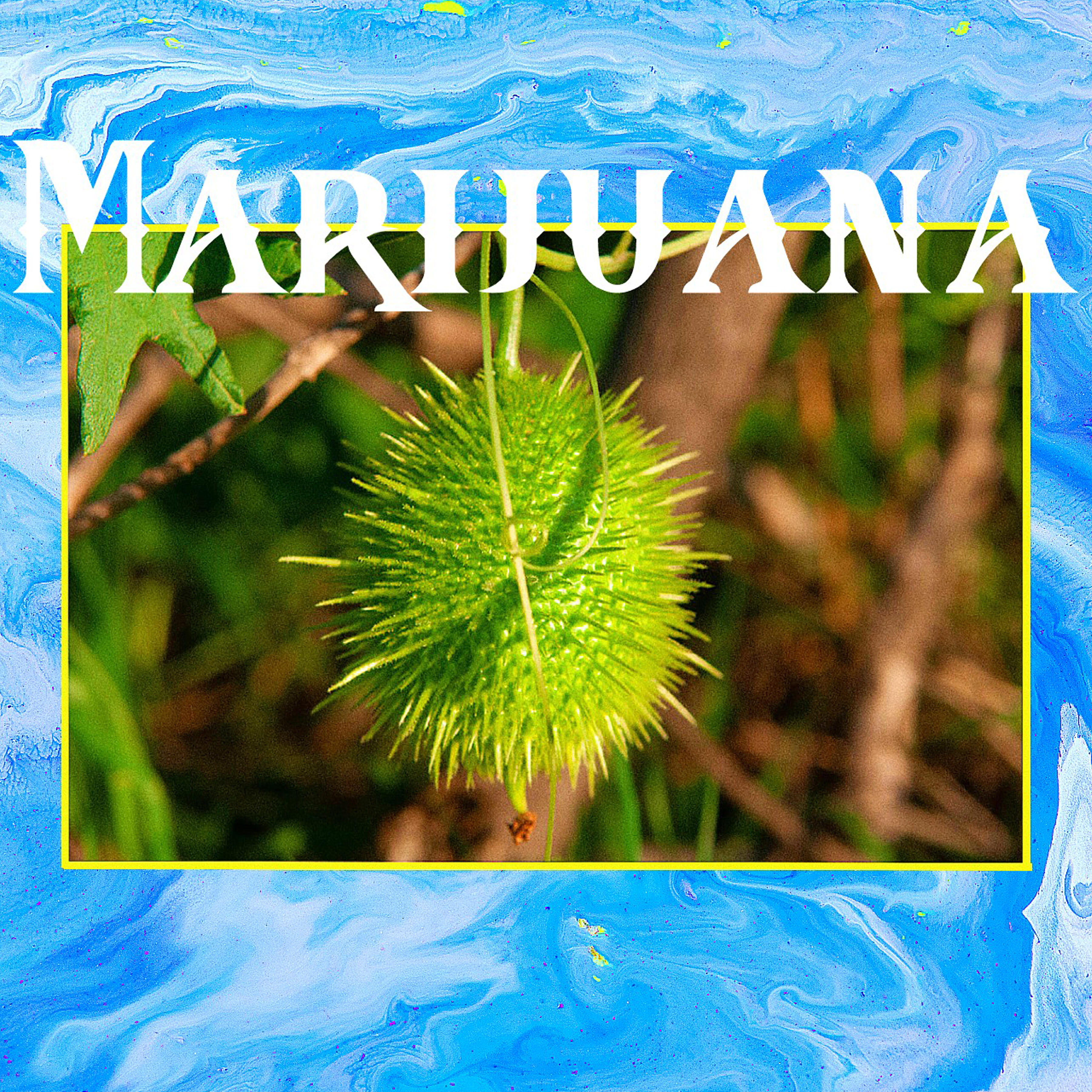 Together Pangea - Marijuana
