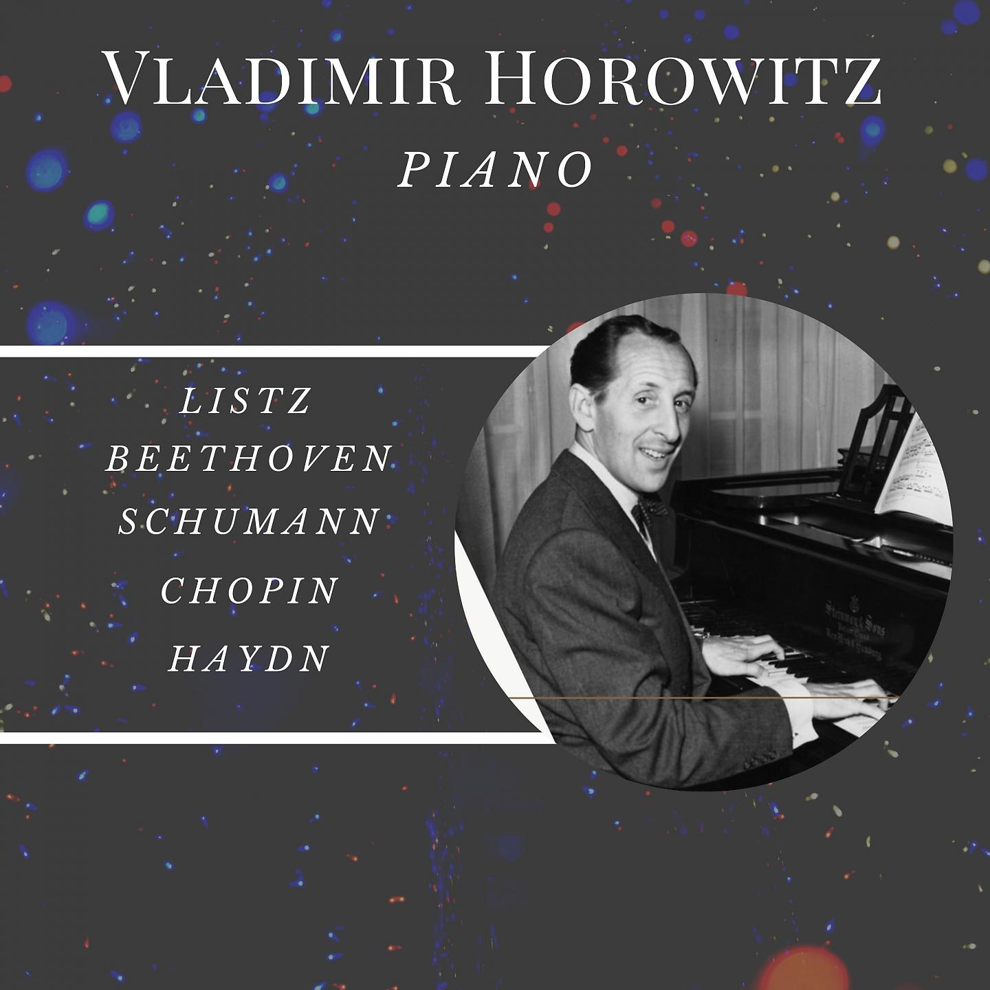 Постер альбома Vladimir Horowitz - Piano