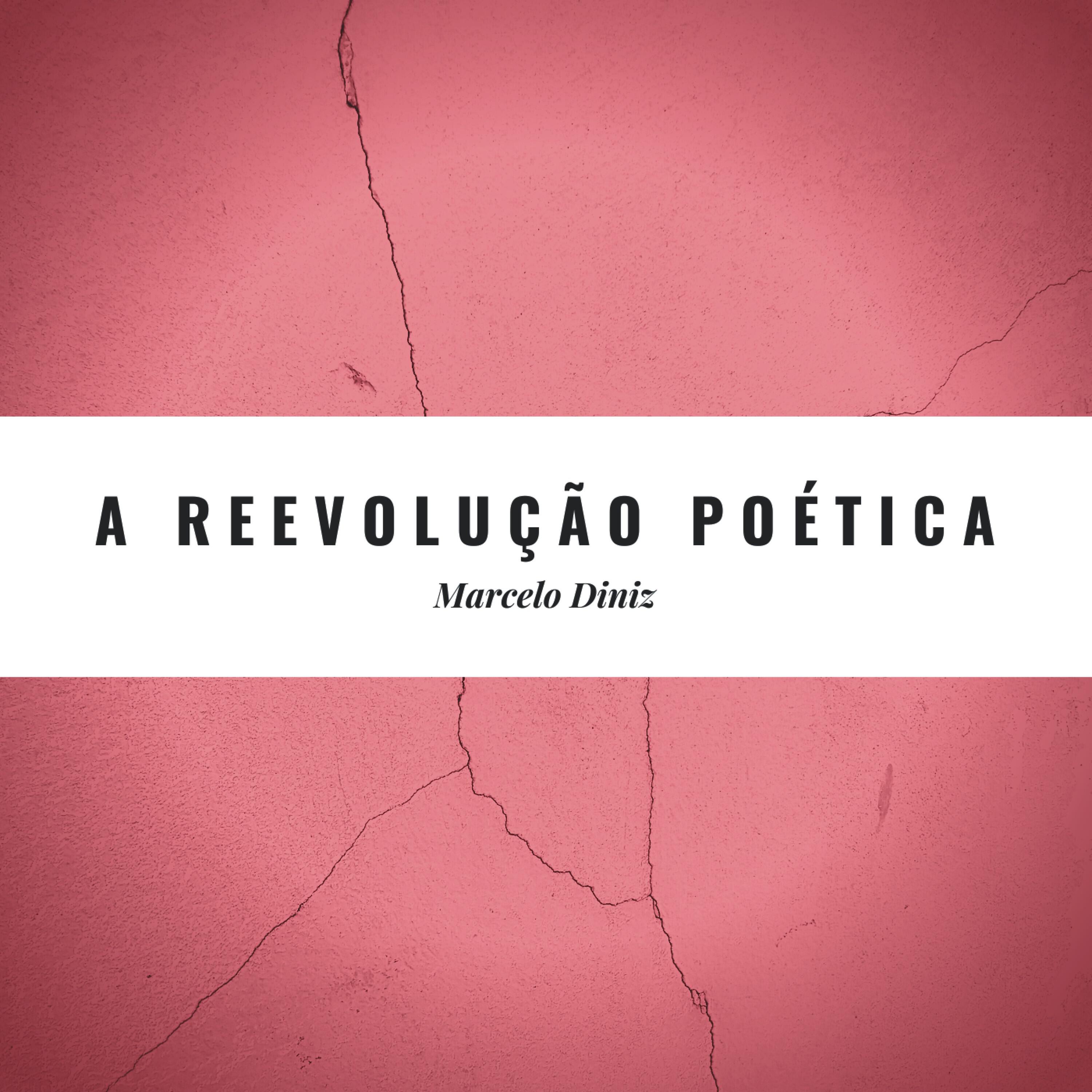 Marcelo Diniz - Ato 06 - A Vertigem