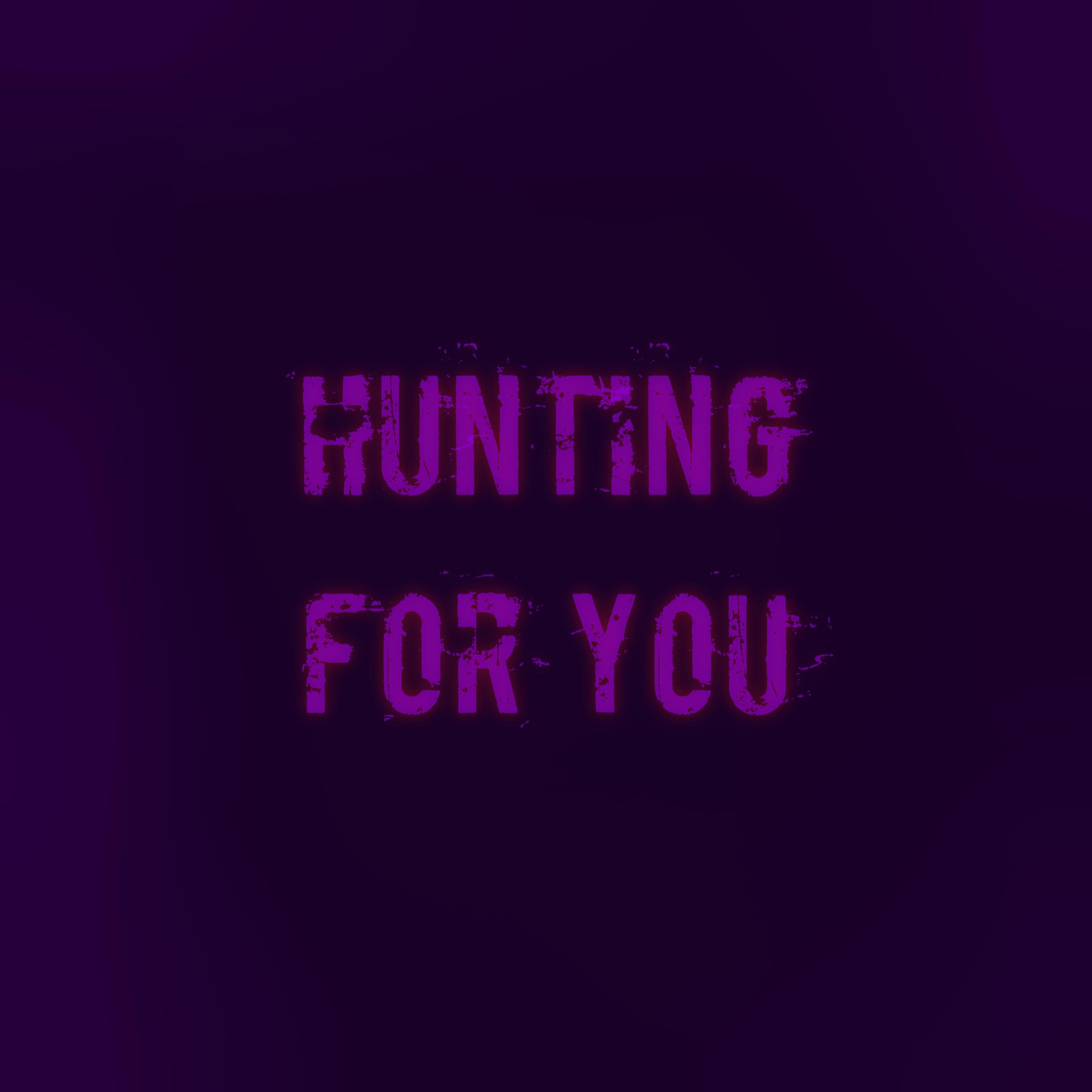 Постер альбома Hunting for You