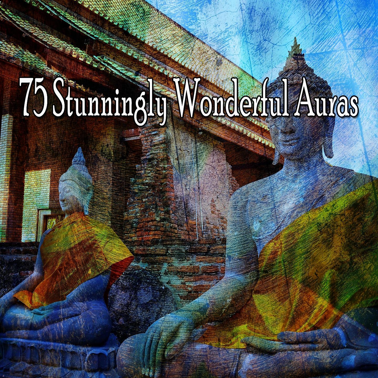 Asian Zen Spa Music Meditation - Regrowth for a Heavy Mind