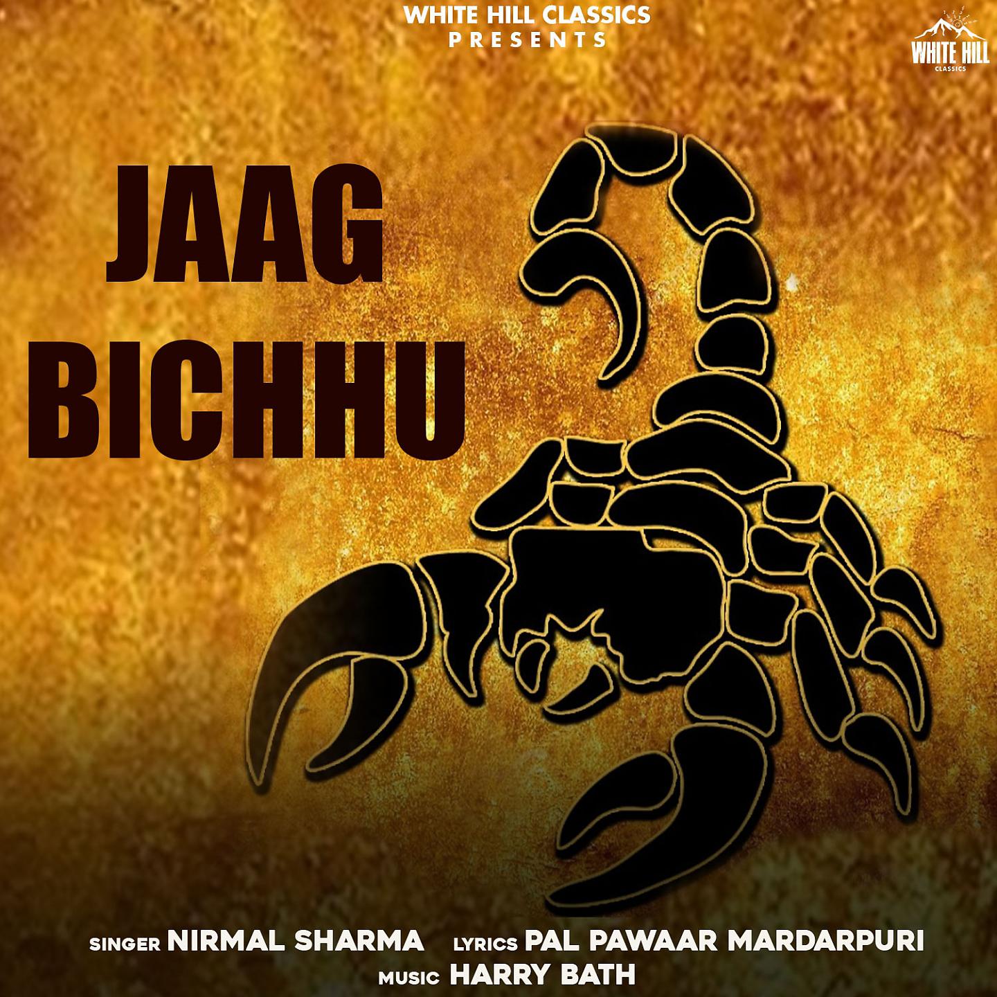 Постер альбома Jaag Bichhu