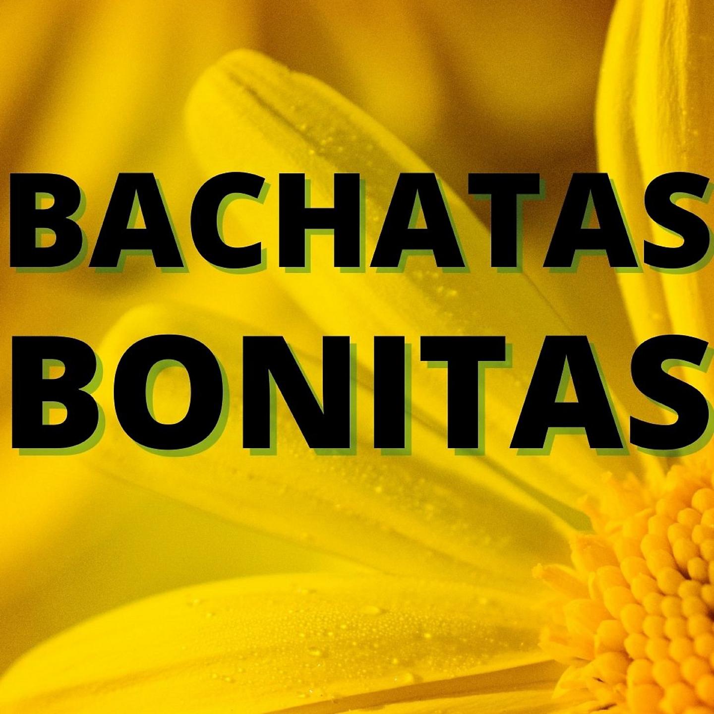 Постер альбома Bachatas Bonitas
