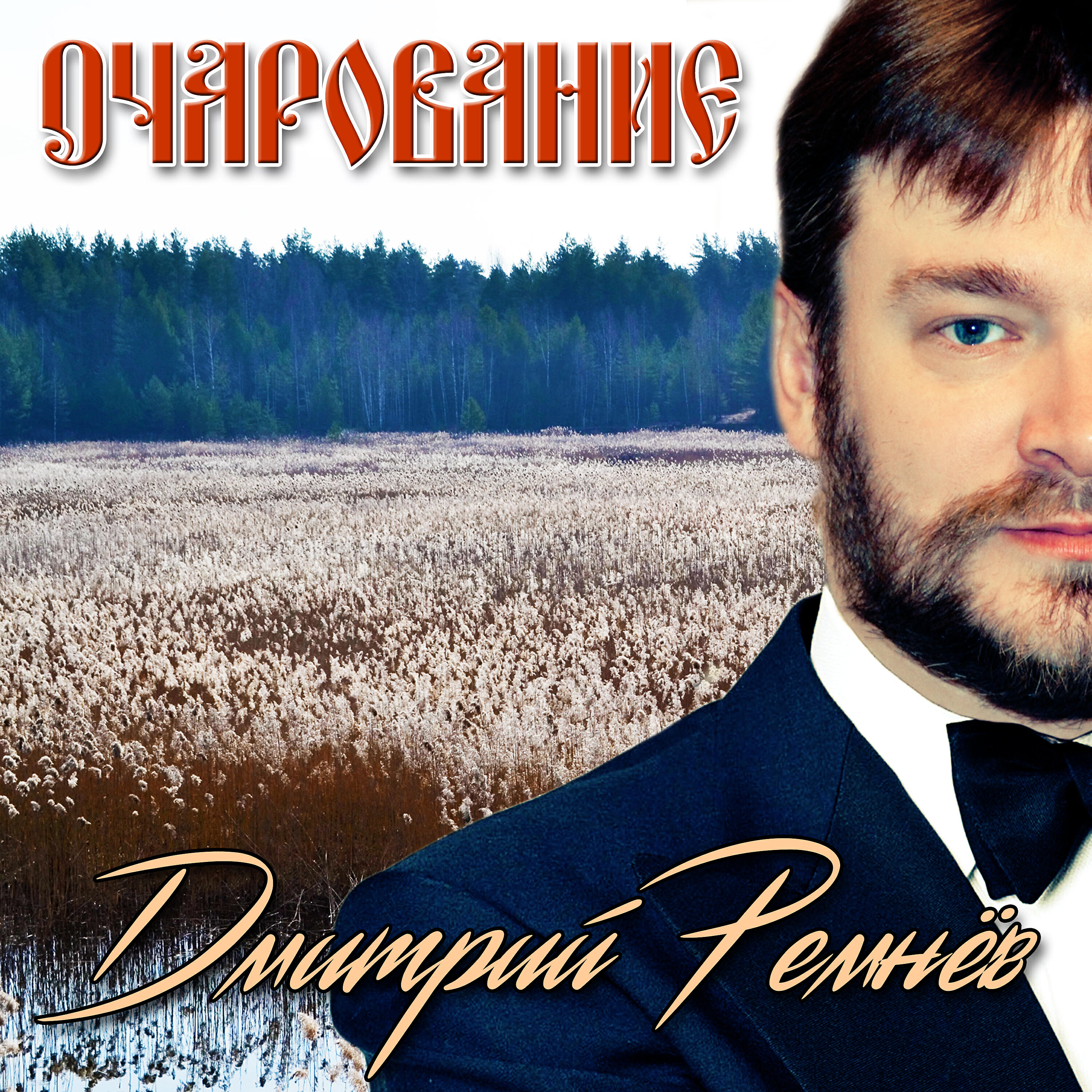 Дмитрий Ремнёв - А я всё жду