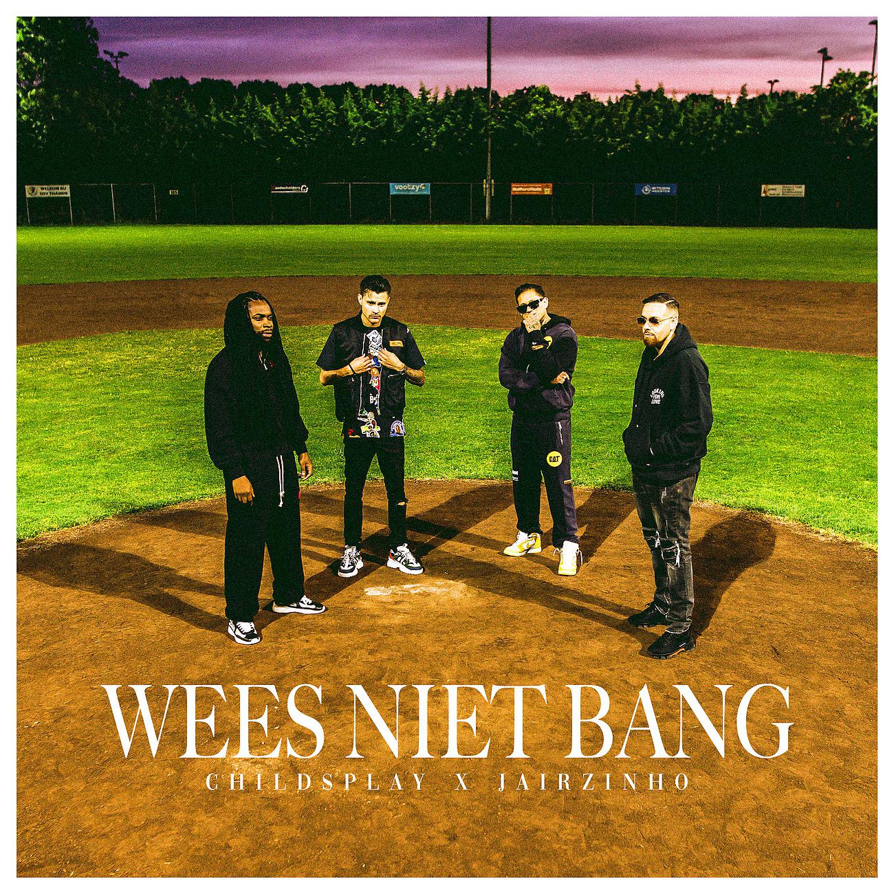 Постер альбома Wees Niet Bang