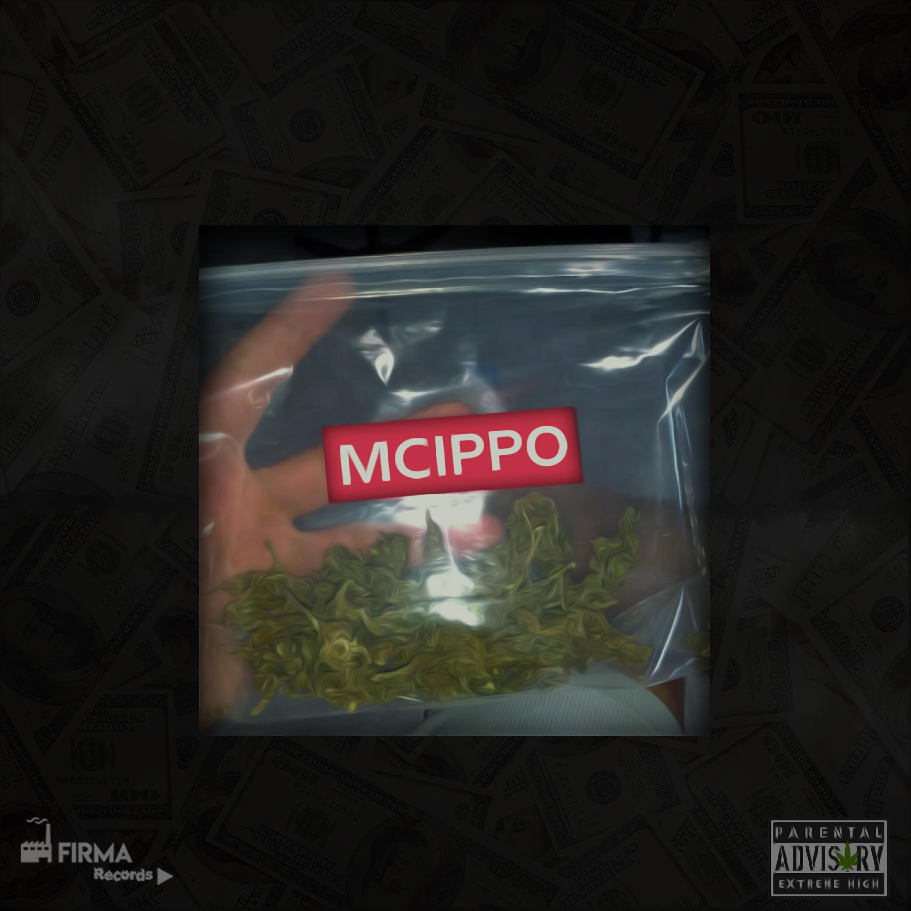 MCIPPO - Fds