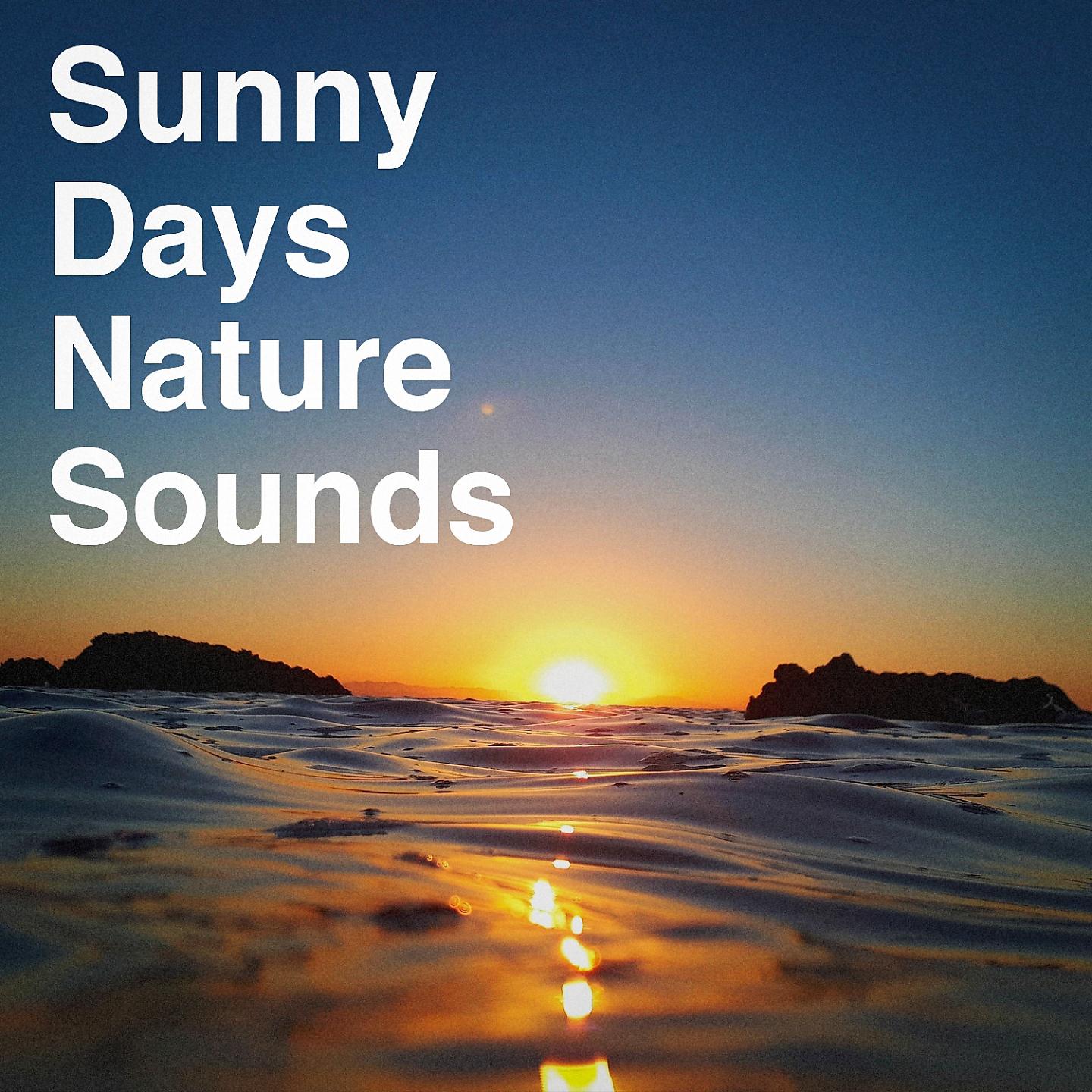 Постер альбома Sunny Days Nature Sounds