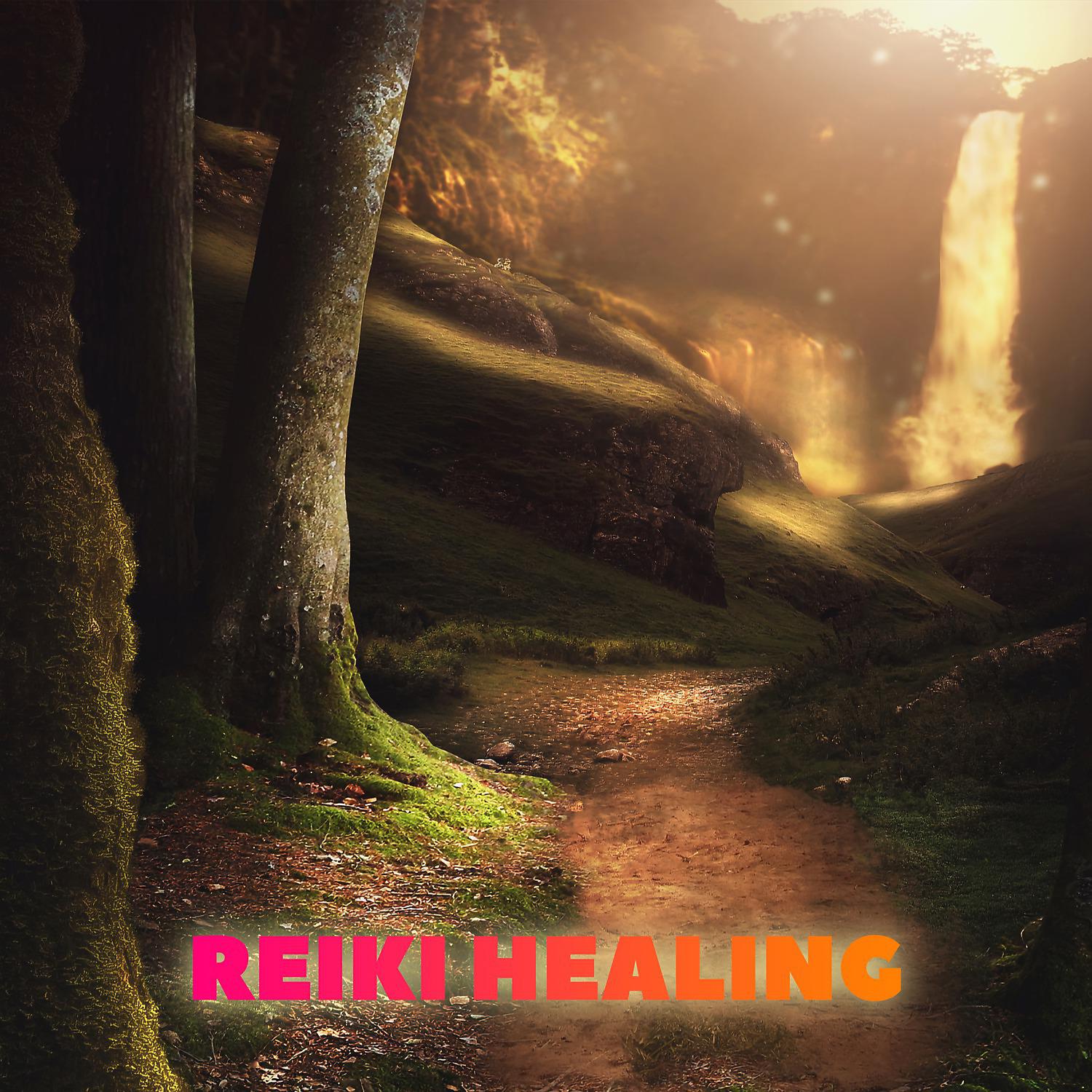 Постер альбома Reiki Healing