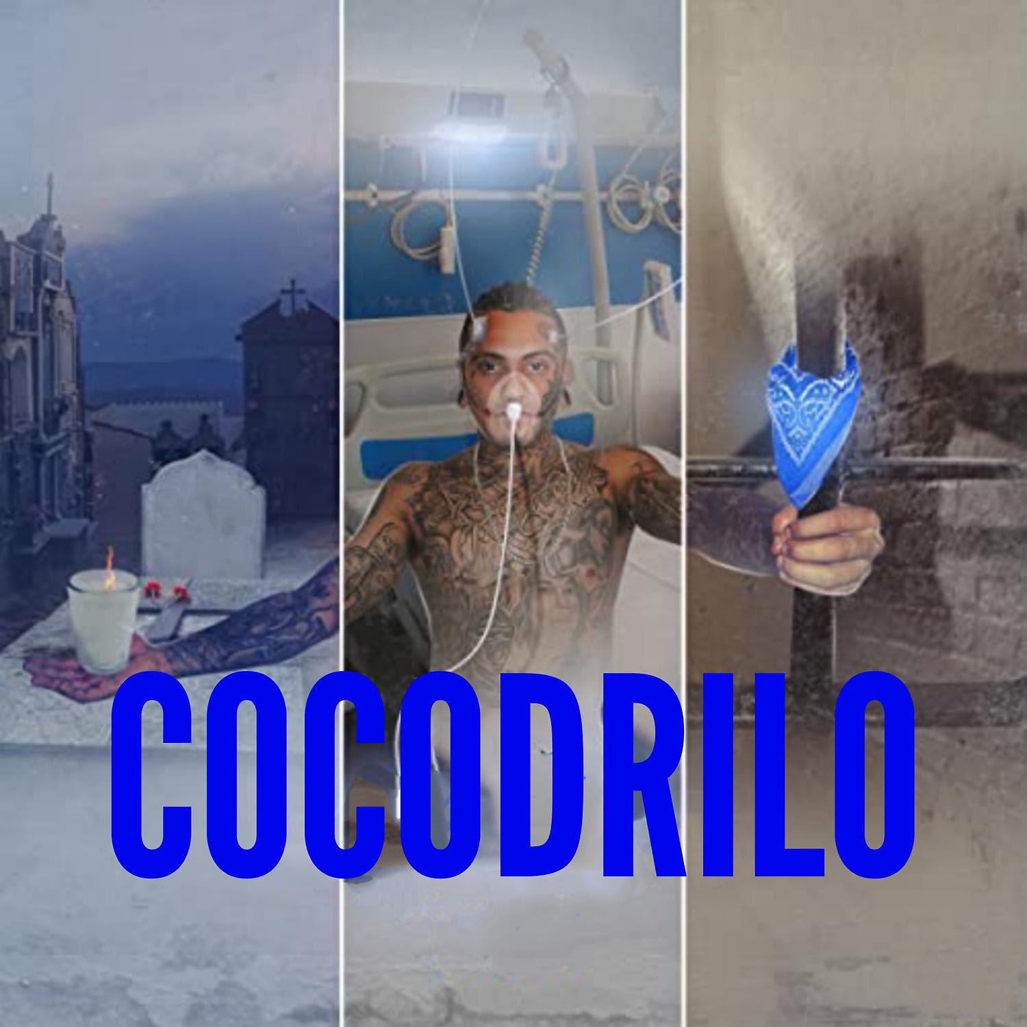 Постер альбома Cocodrilo