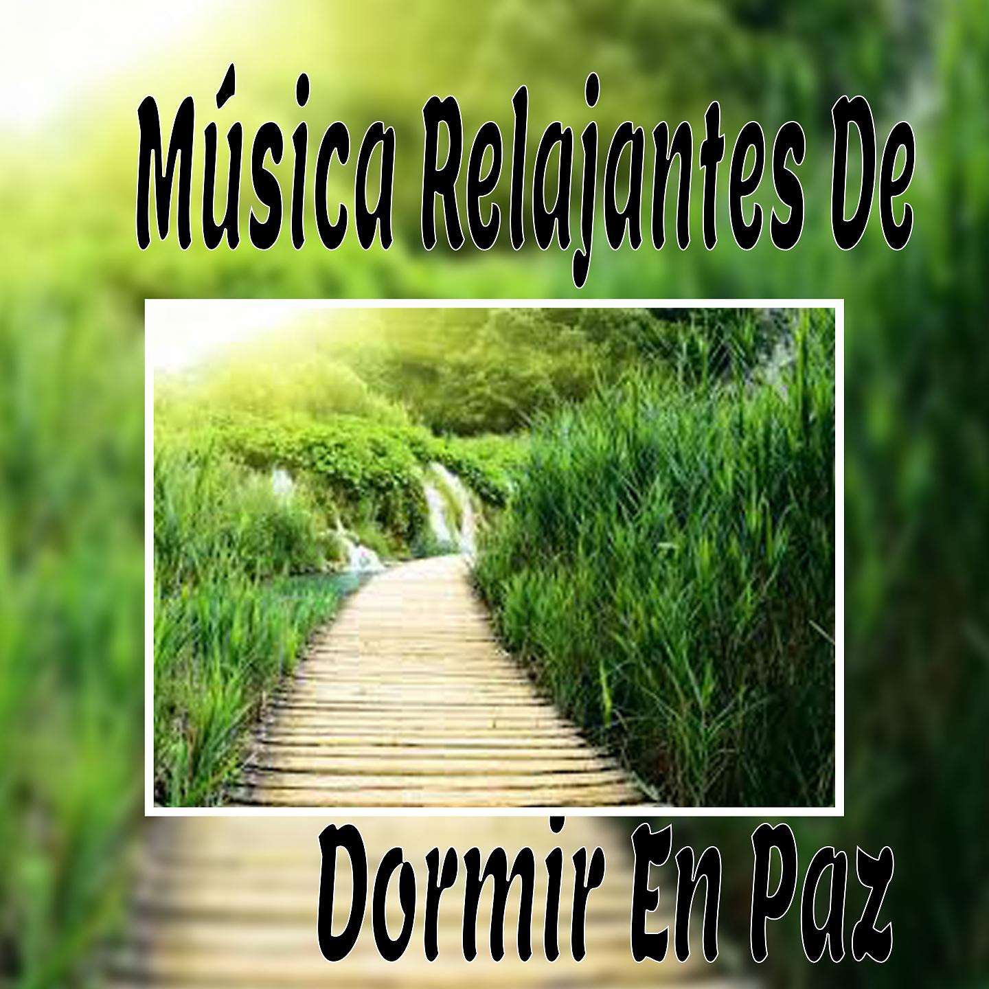 Постер альбома Música Relajantes de Dormir en Paz
