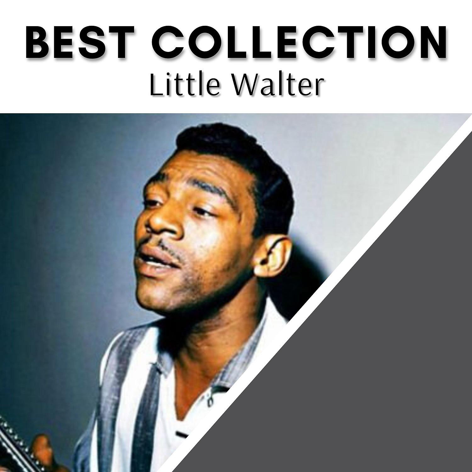 Постер альбома Best Collection Little Walter