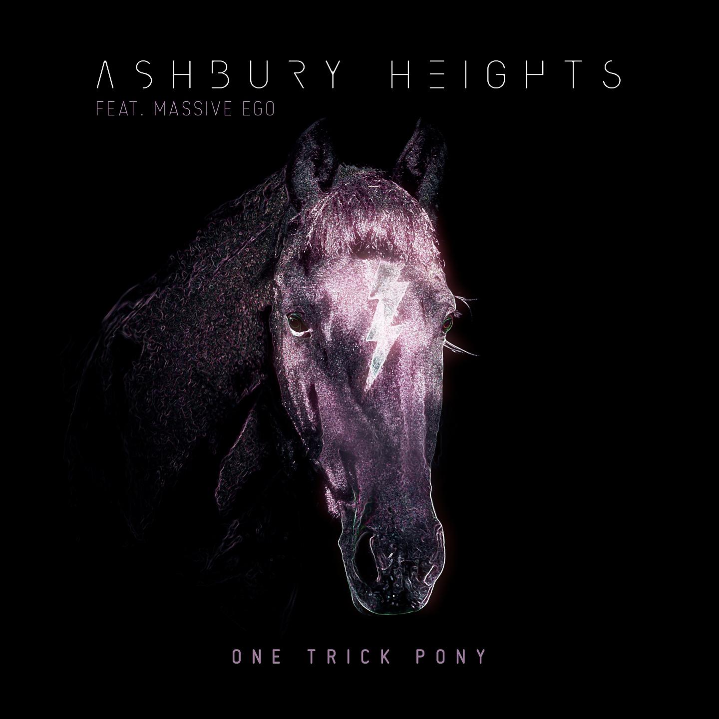 Постер альбома One Trick Pony