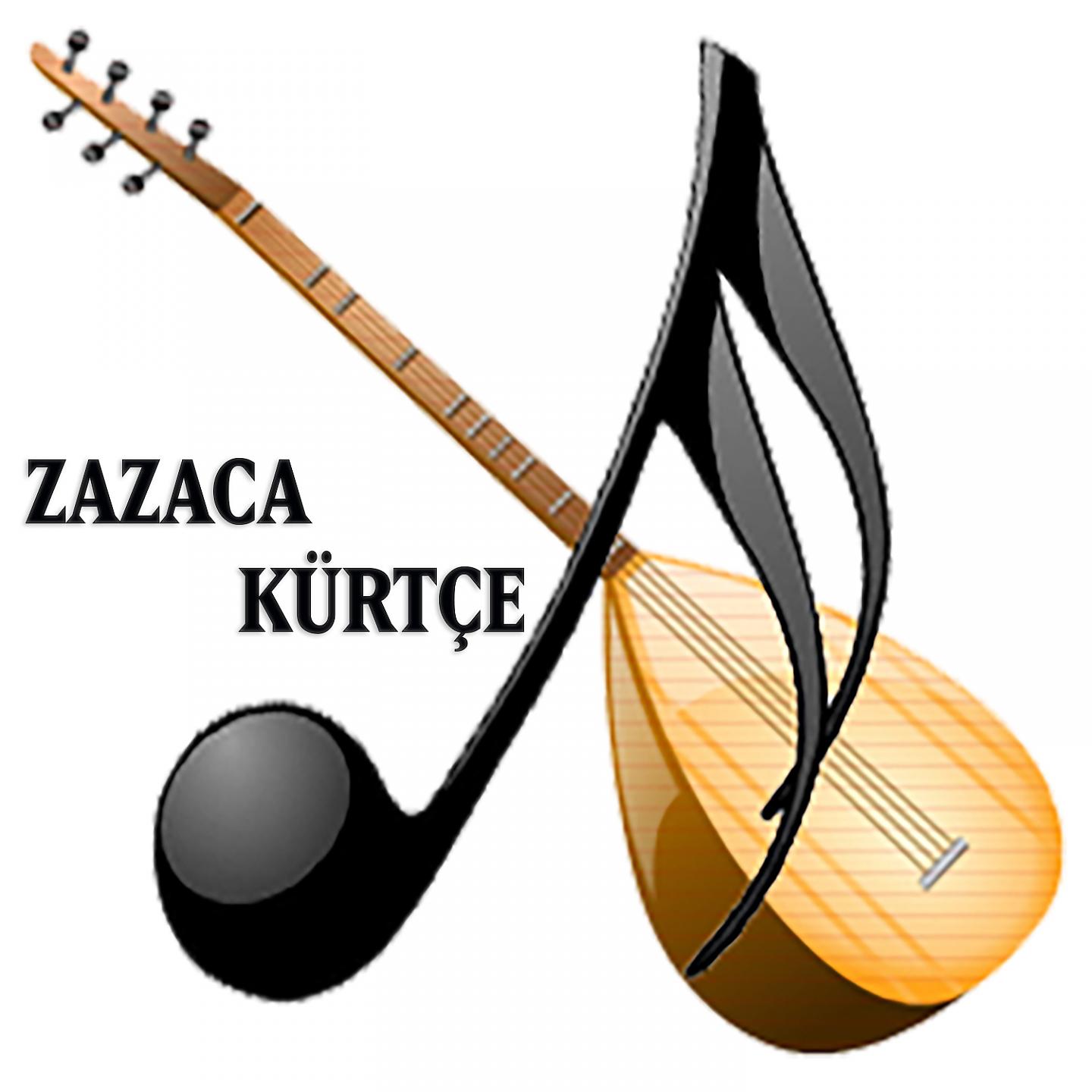 Постер альбома Zazaca Kürtçe