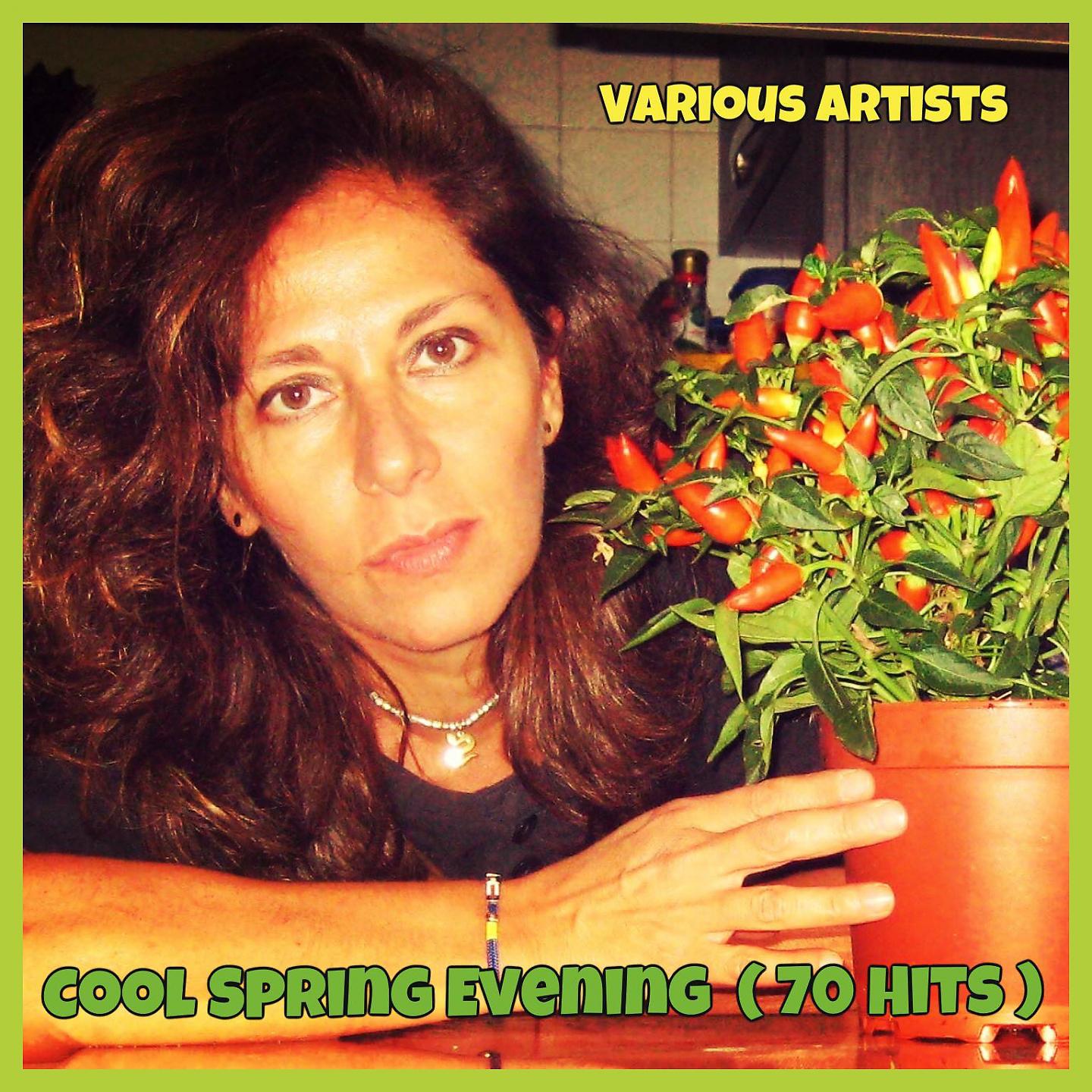 Постер альбома Cool Spring Evening