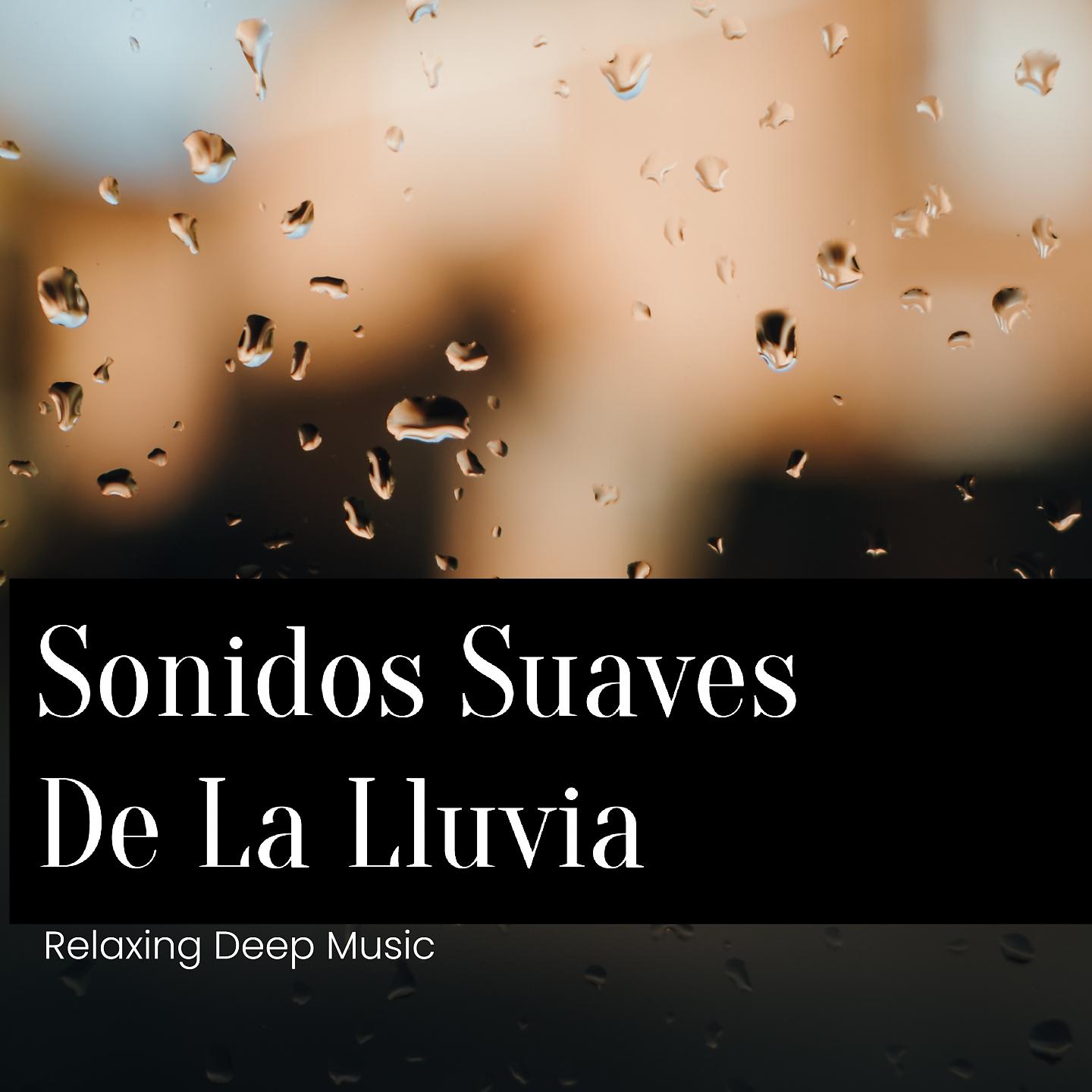 Постер альбома Sonidos Suaves De La Lluvia