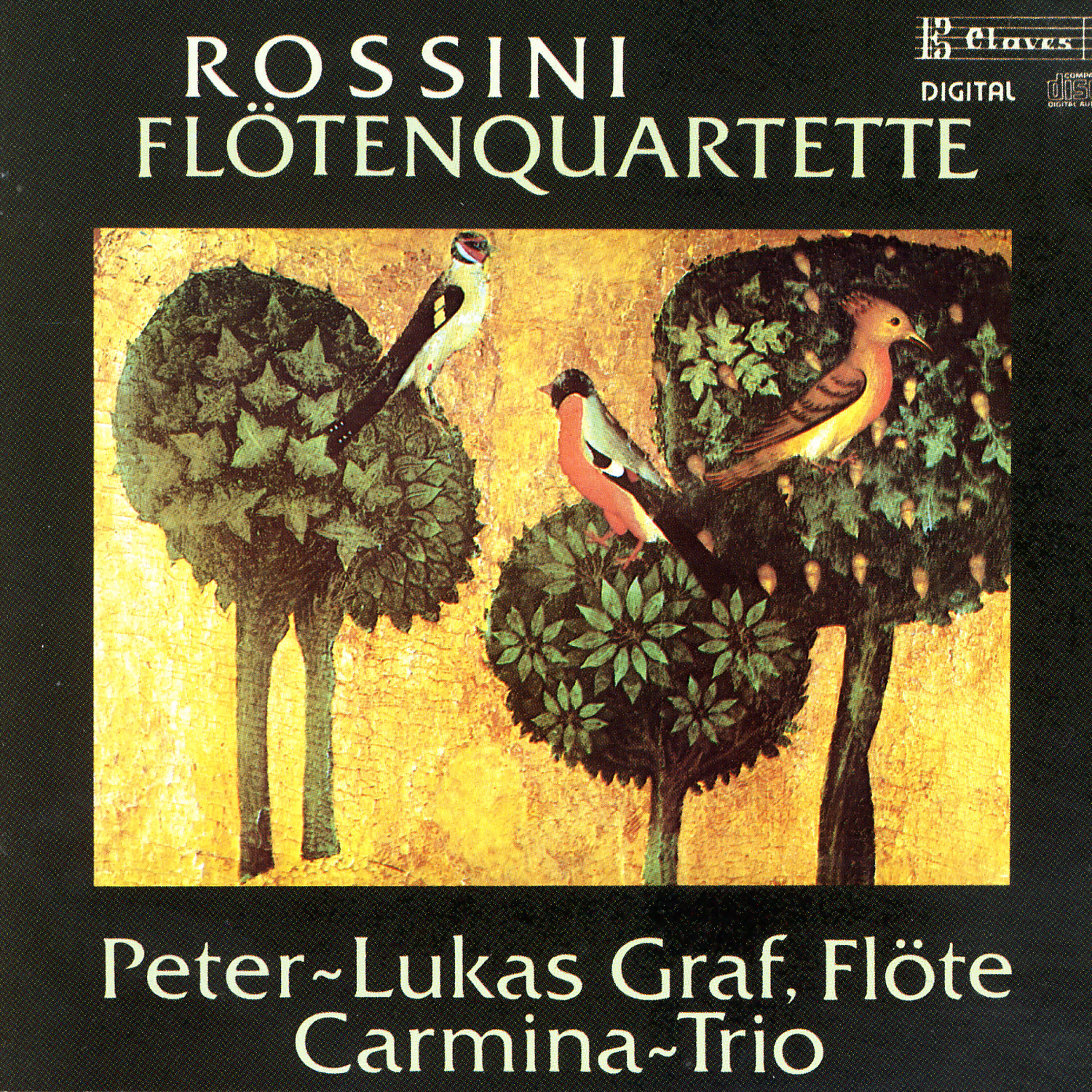 Peter-Lukas Graf - Sonata No. 6 in D Major: III. Tempesta. Allegro