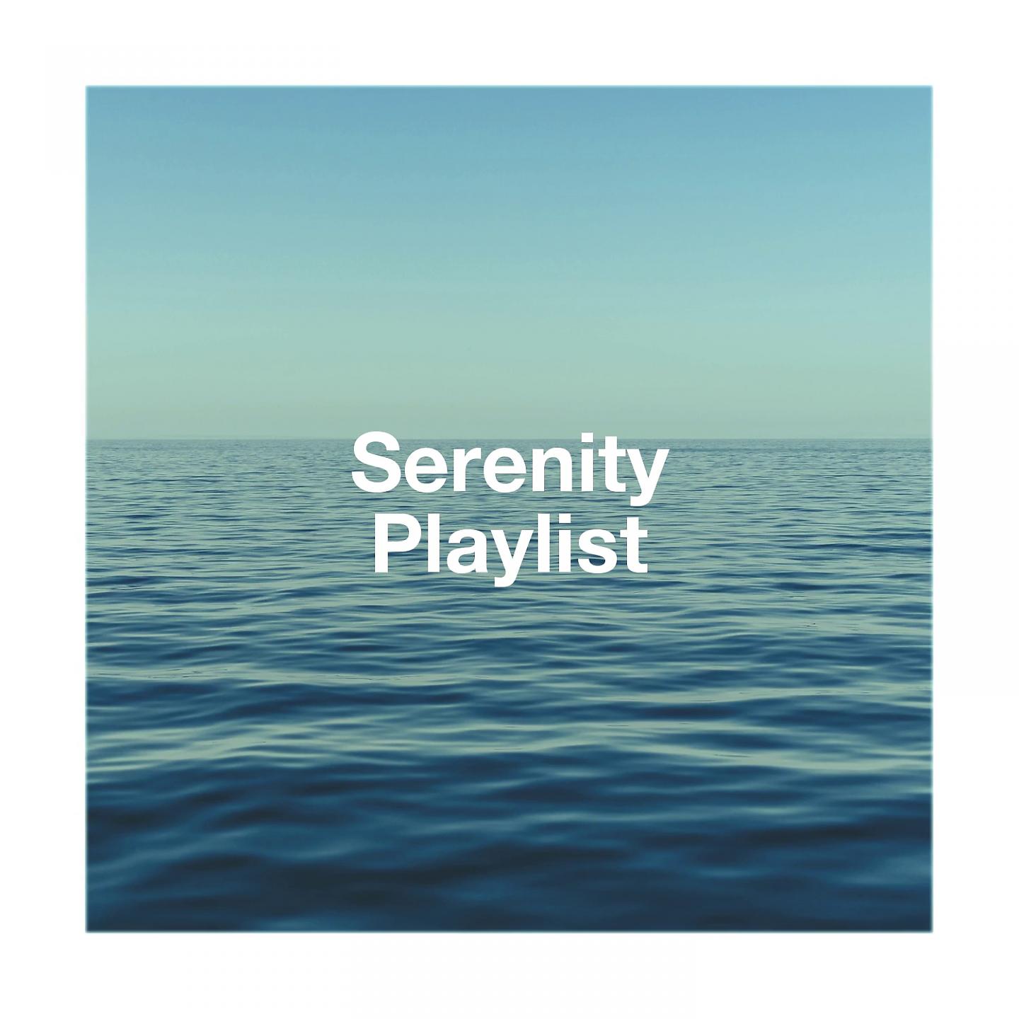 Постер альбома Serenity Playlist
