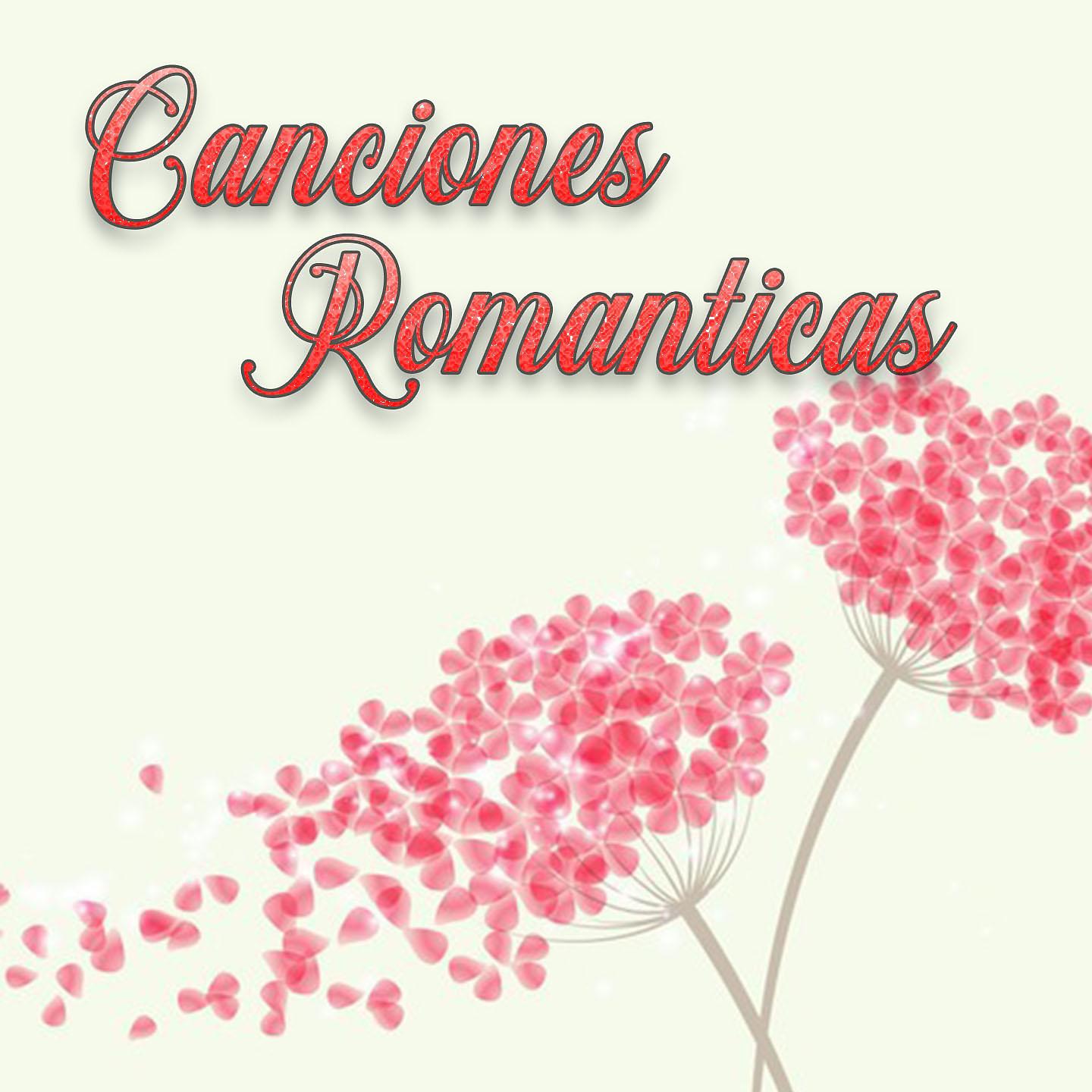 Постер альбома Canciones Romanticas