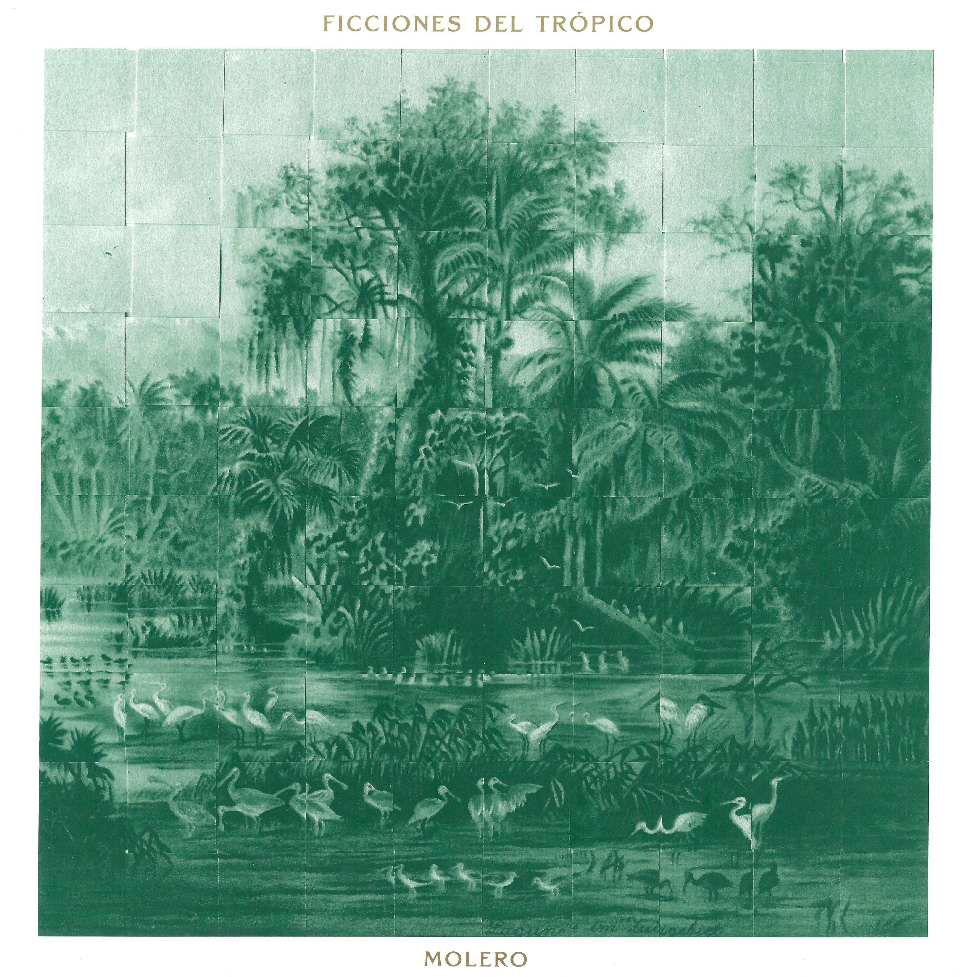 Постер альбома Ficciones Del Trópico