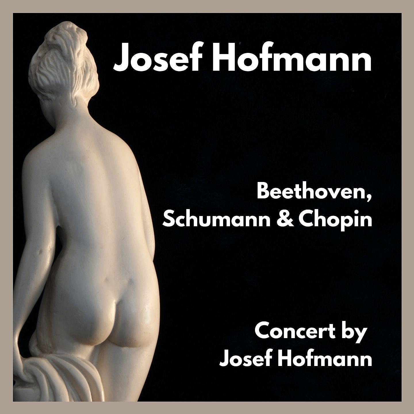 Постер альбома Concert by Josef Hofmann
