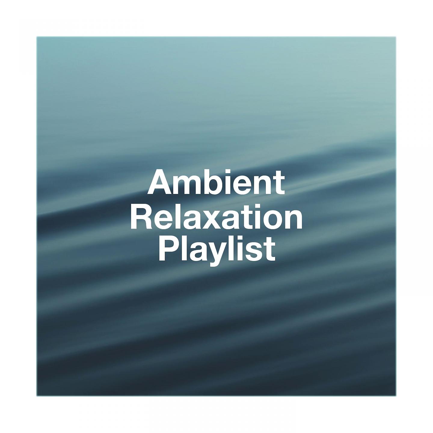 Постер альбома Ambient Relaxation Playlist